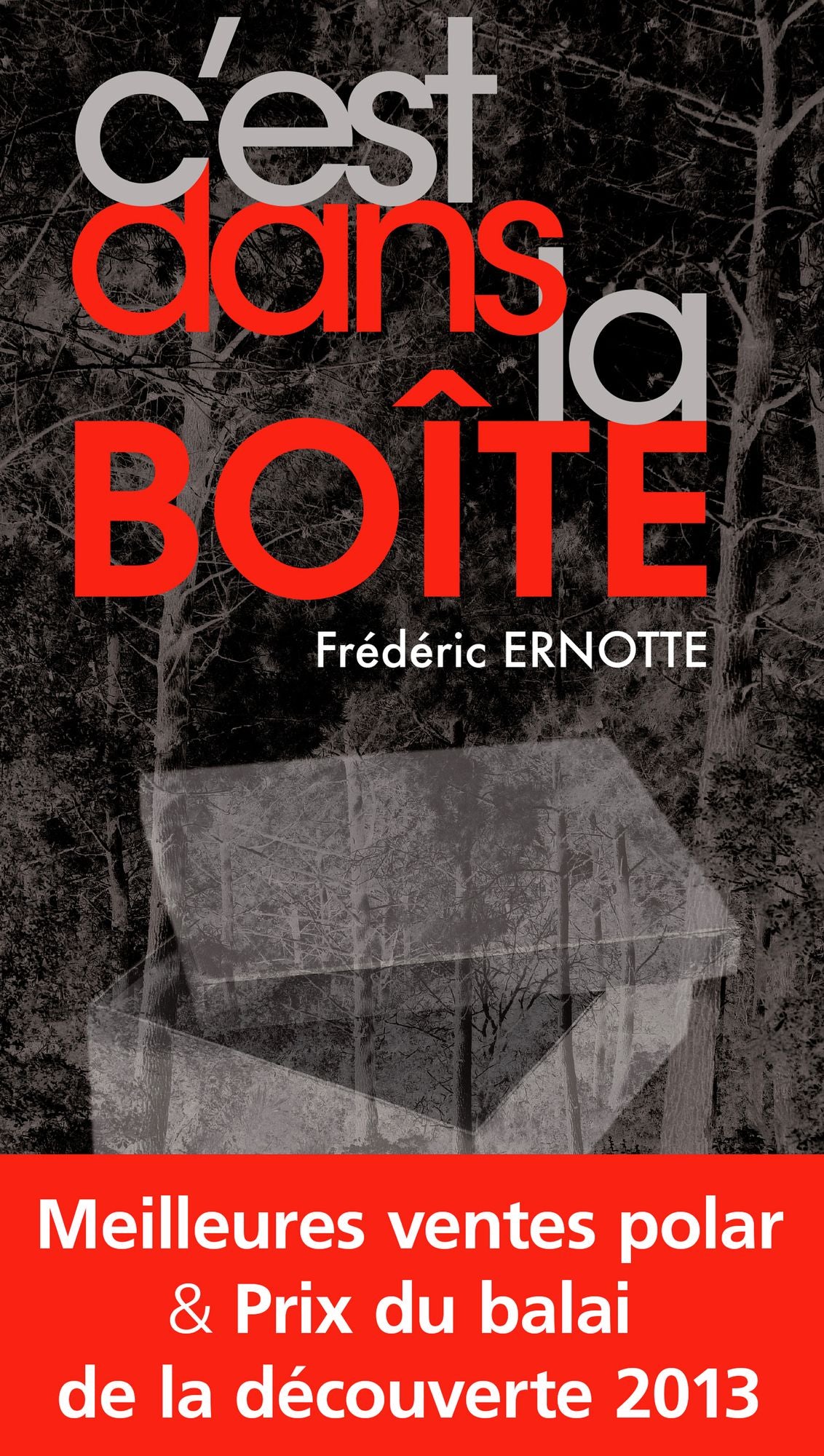 C'est dans la boîte: Meilleures ventes polar & Prix du balai de la découverte 2013