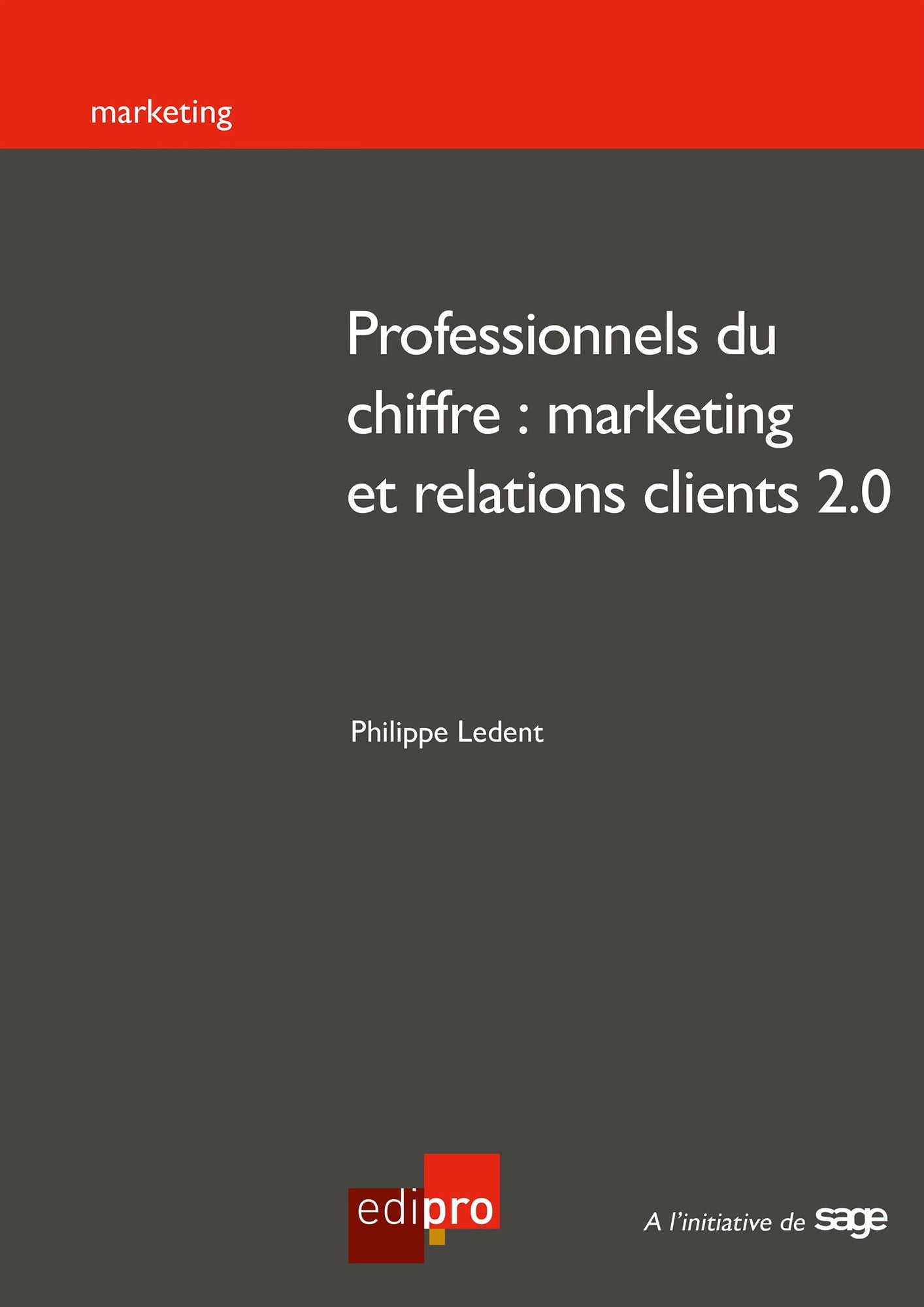 Professionnels du chiffre : marketing et relations clients 2.0: Réussir ses stratégies marketing