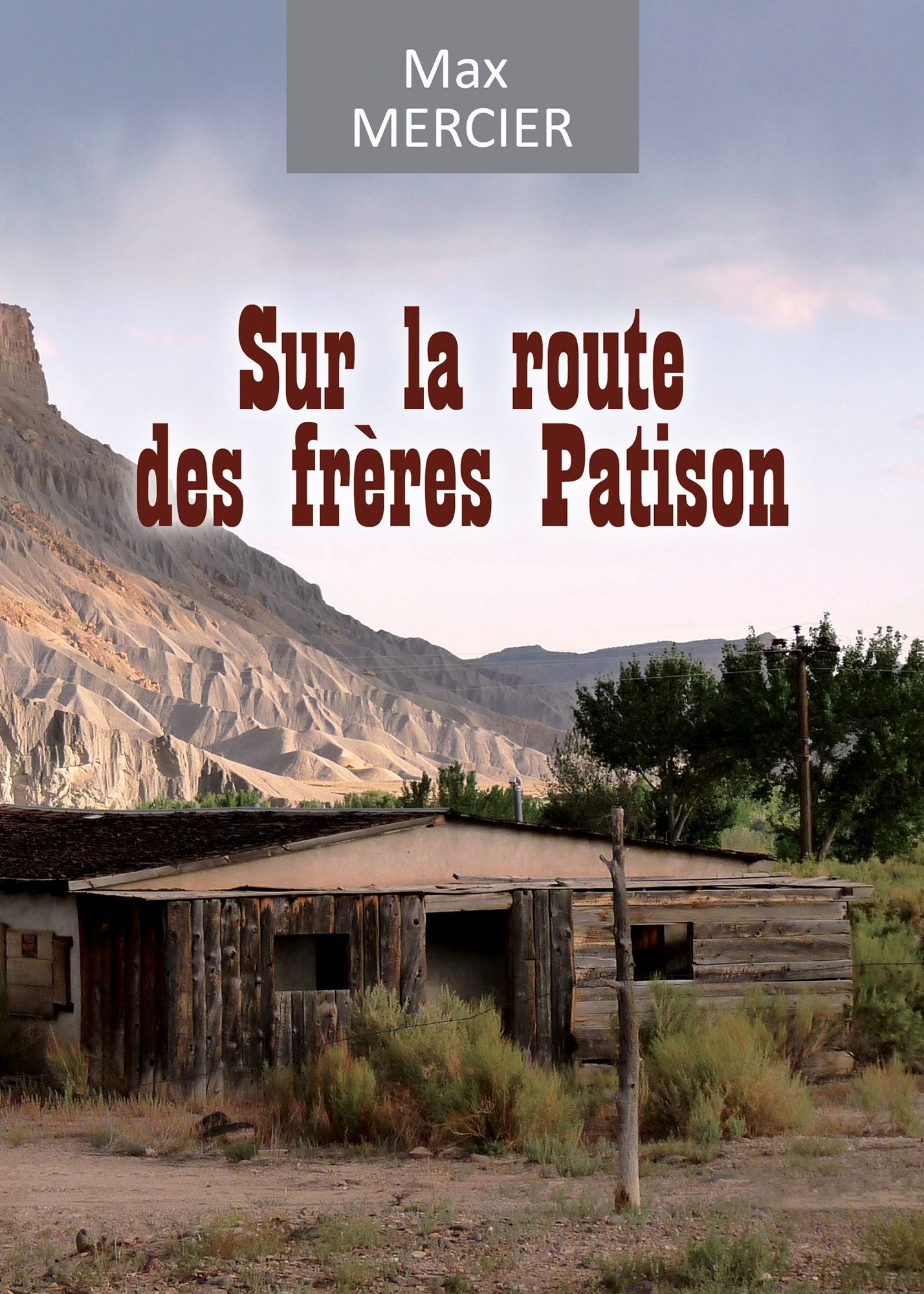 Sur la route des frères Patison: Roman d'aventures