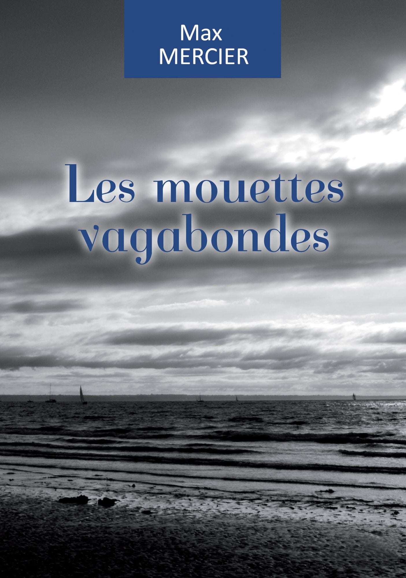 Les mouettes vagabondes: Un double huit clos saisissant
