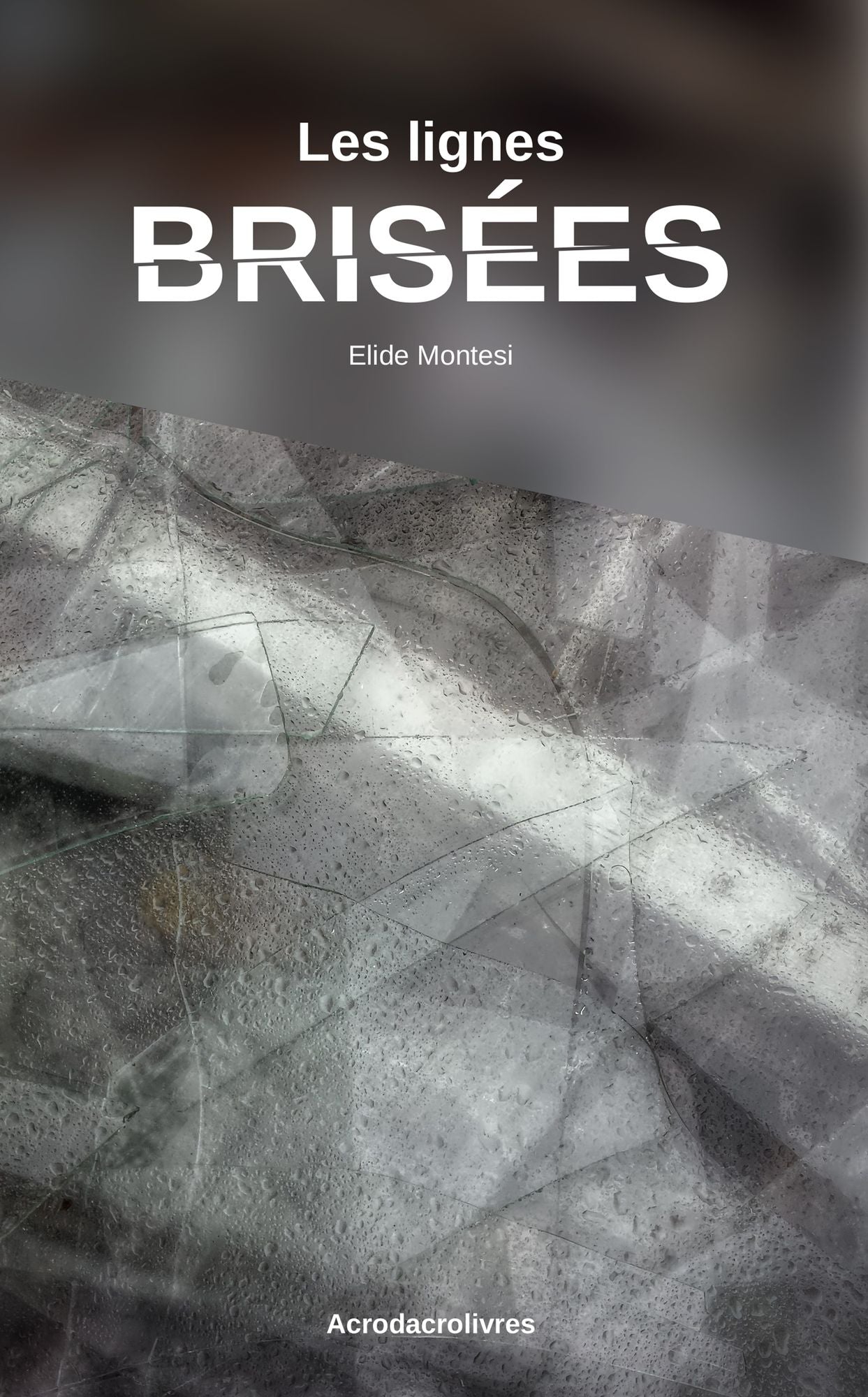 Les lignes brisées: Roman