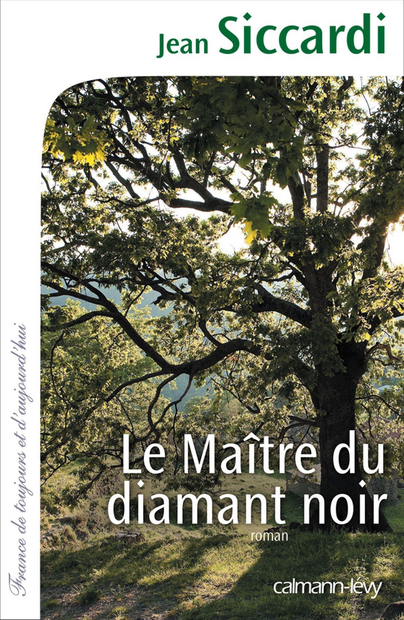 Le Maître du diamant noir