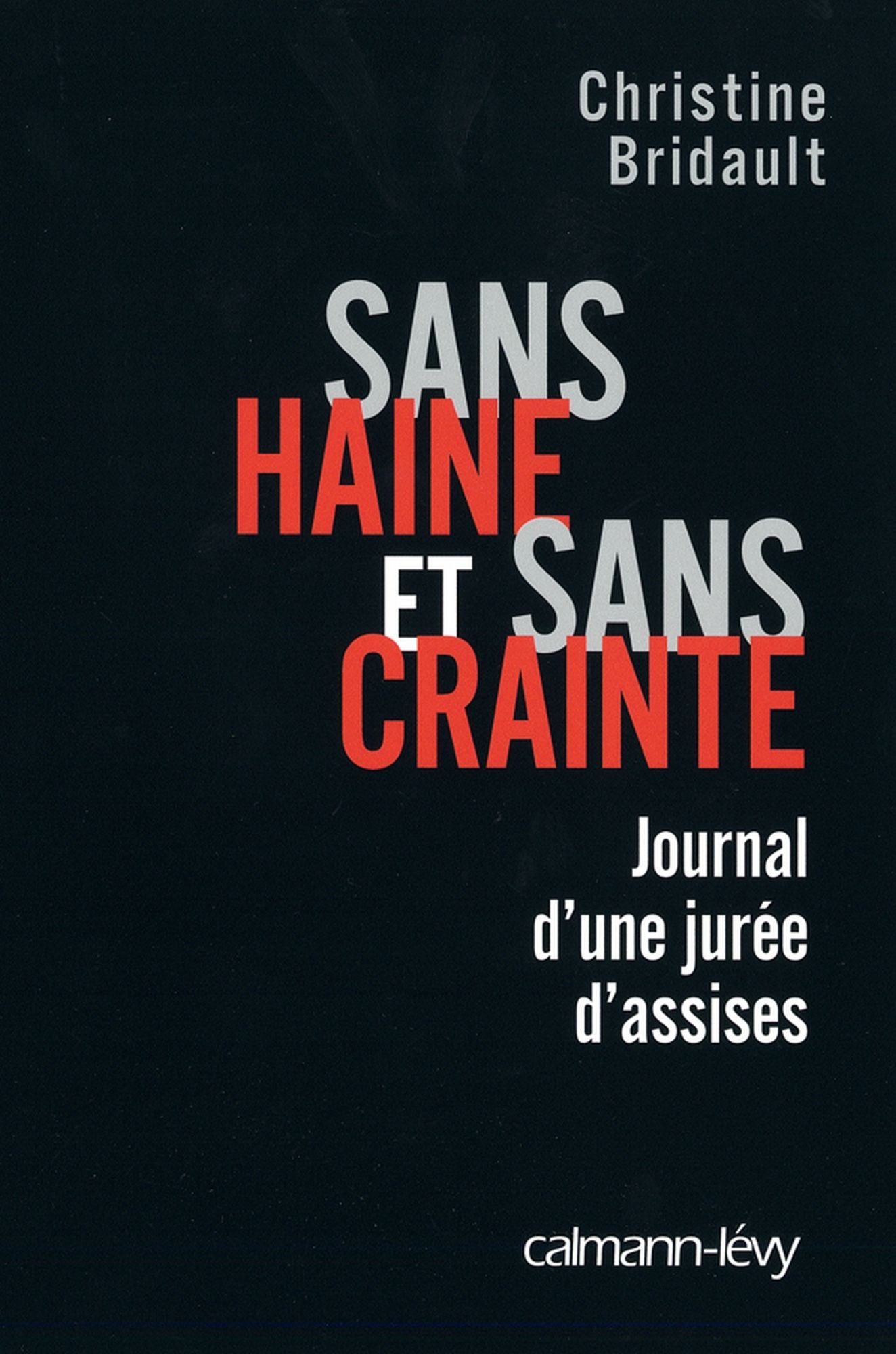 Sans haine et sans crainte: Journal d'une jurée d'assises