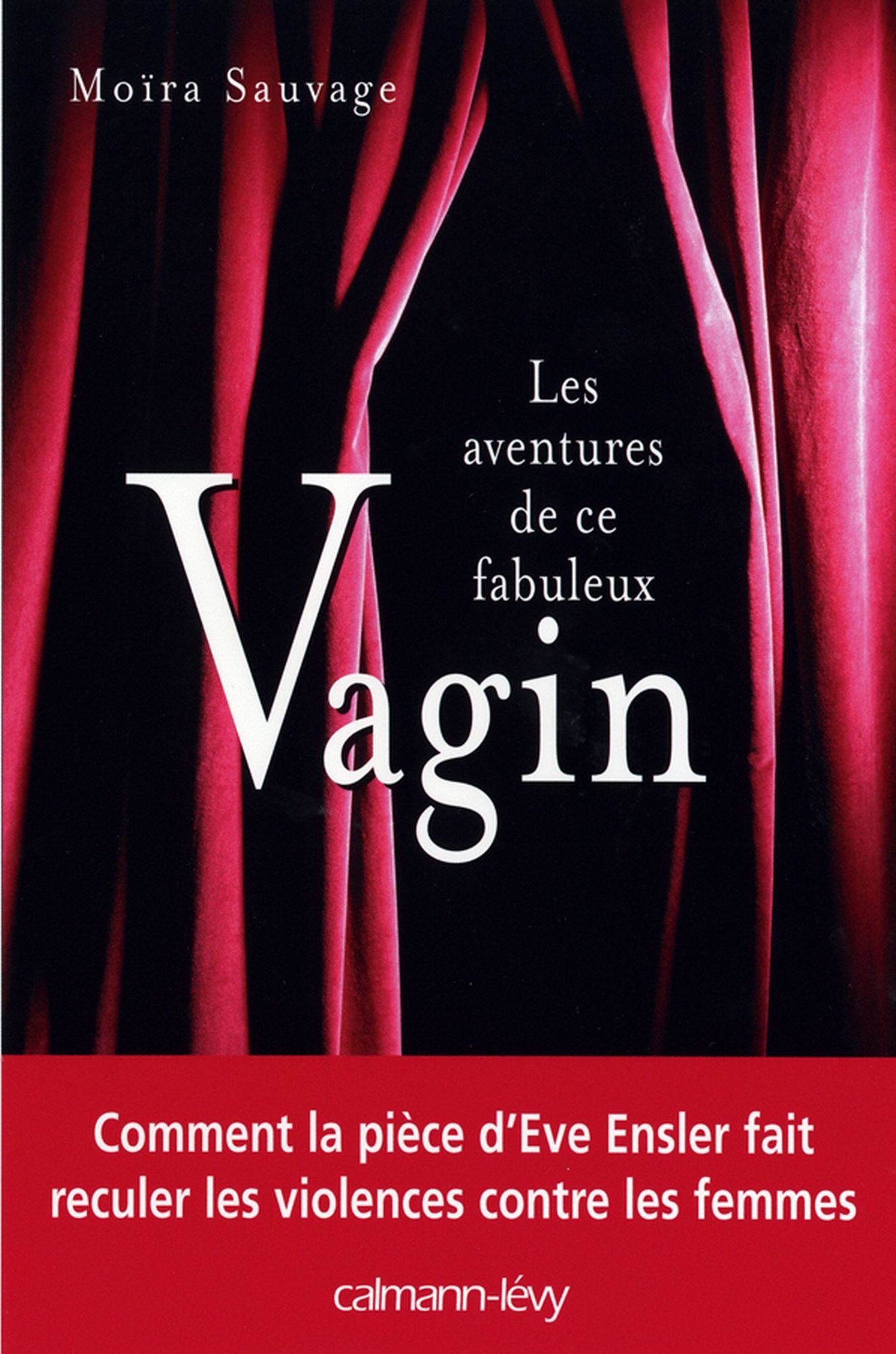 Les Aventures de ce fabuleux vagin