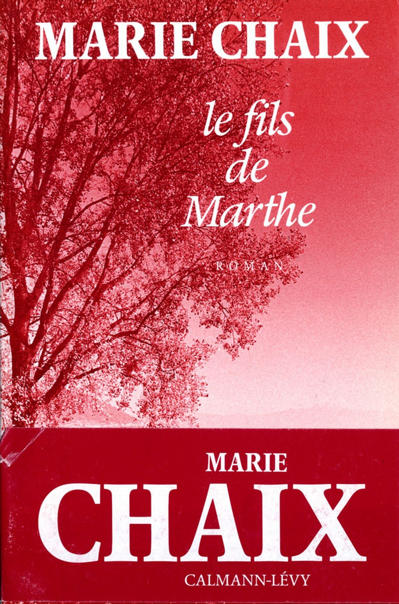 Le Fils de Marthe