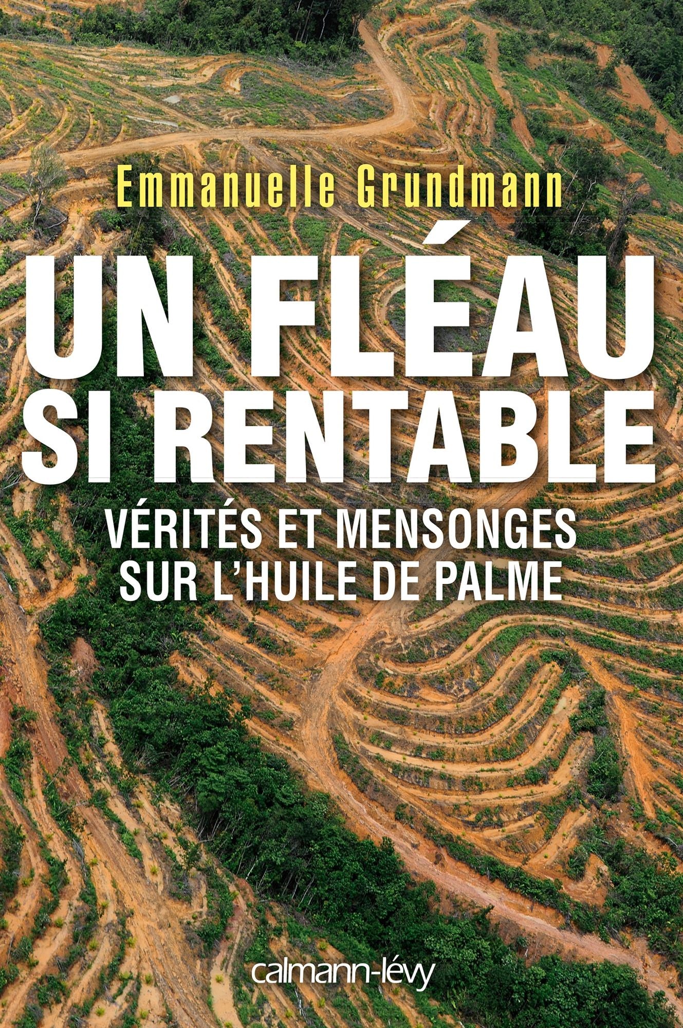 Un fléau si rentable: Vérités et mensonges sur l'huile de palme