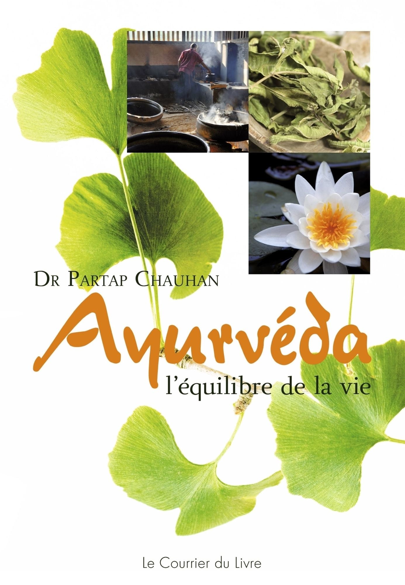 Ayurvéda: L'équilibre de la vie
