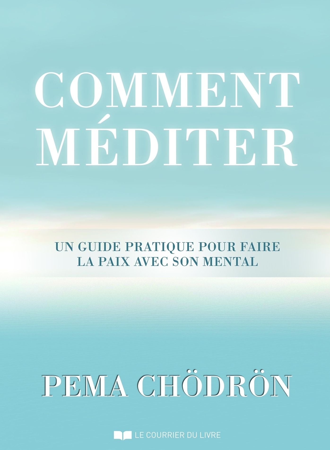 Comment méditer: Un guide pratique pour faire la paix avec son mental