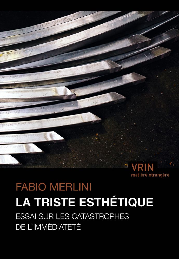 La Triste Esthetique: Essai Sur Les Catastrophes de l'Immediatete