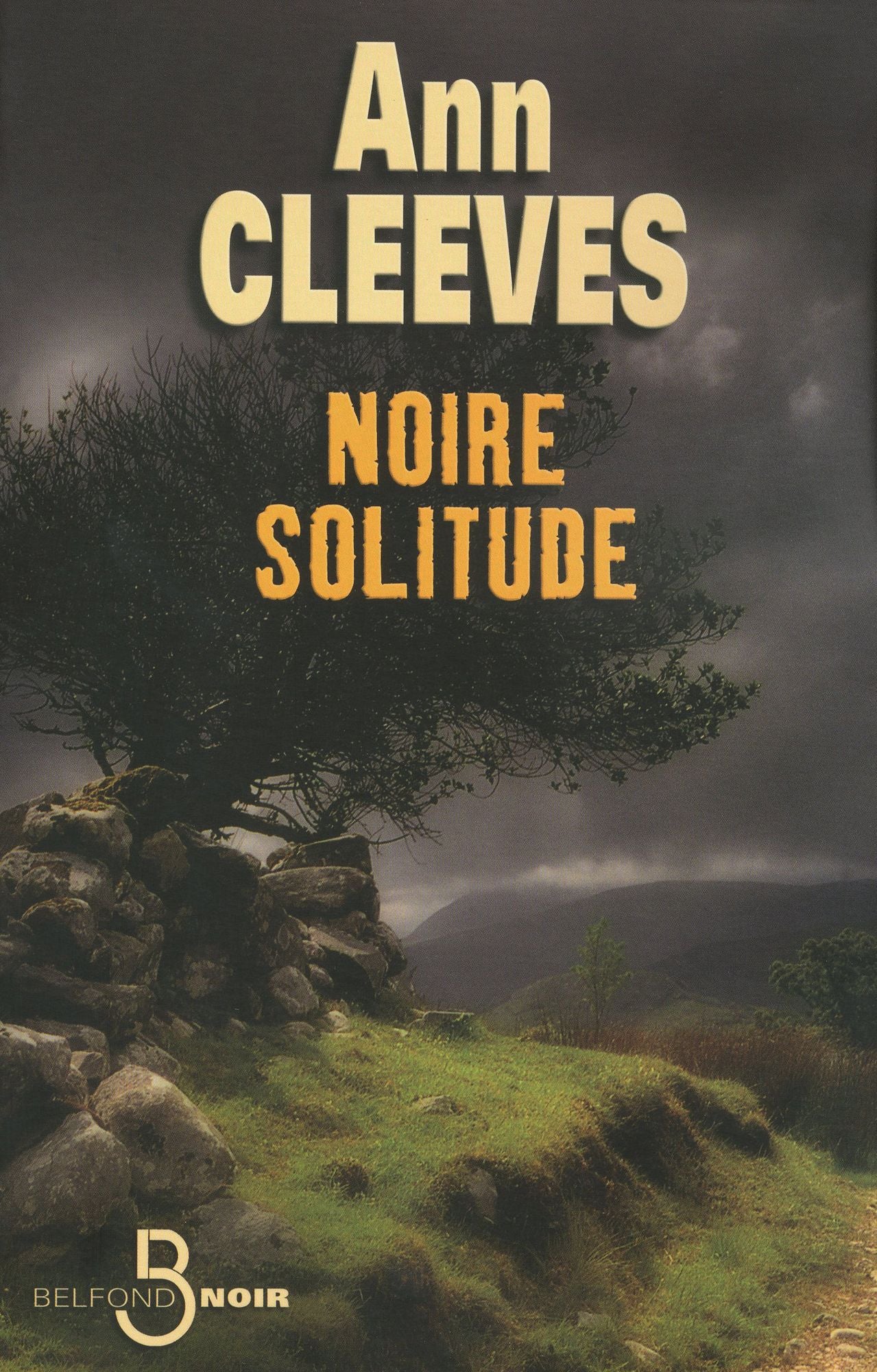 Noire solitude (Raven Black)