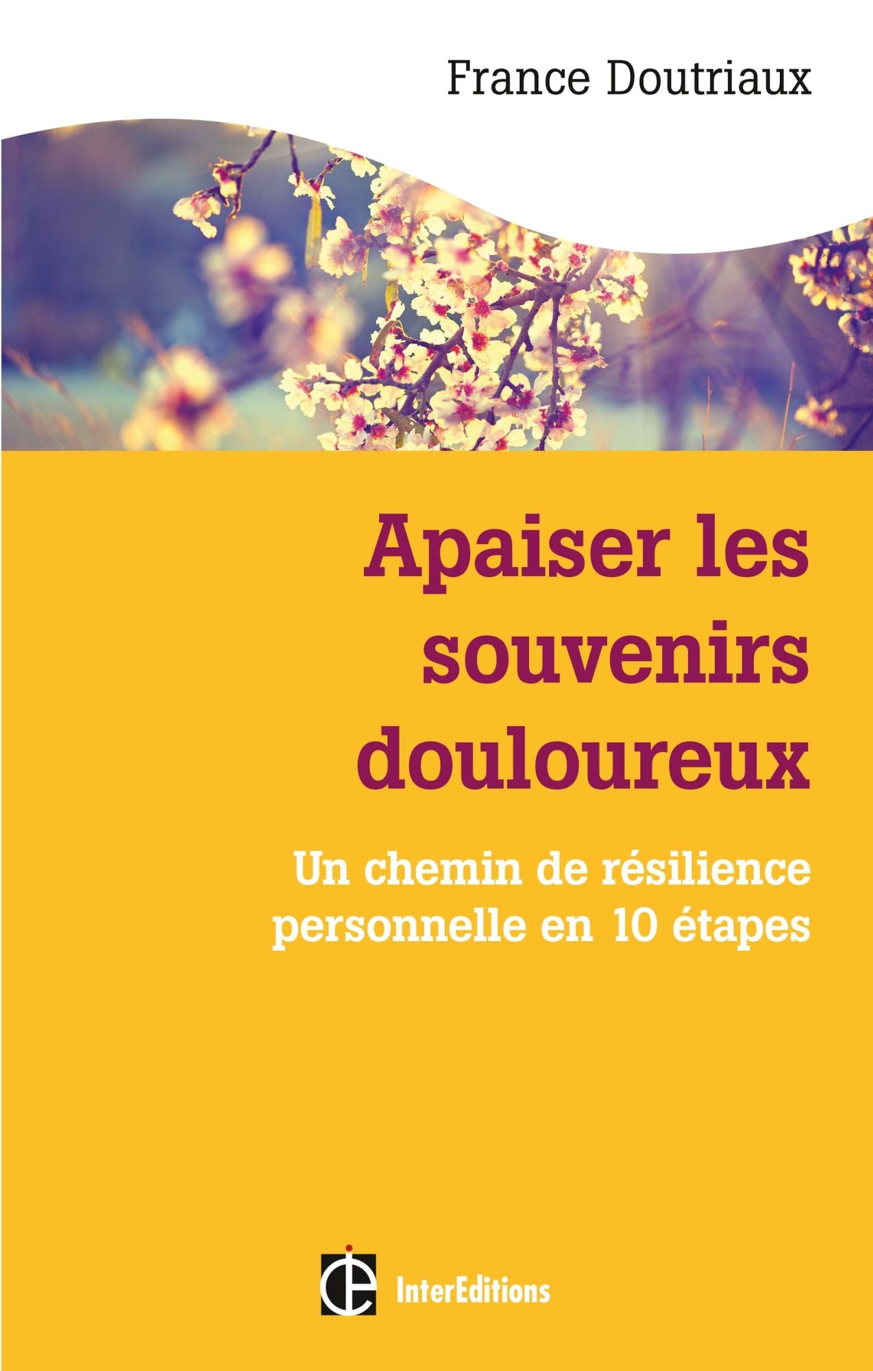 Apaiser les souvenirs douloureux: Les chemins de la résilience personnelle en dix étapes
