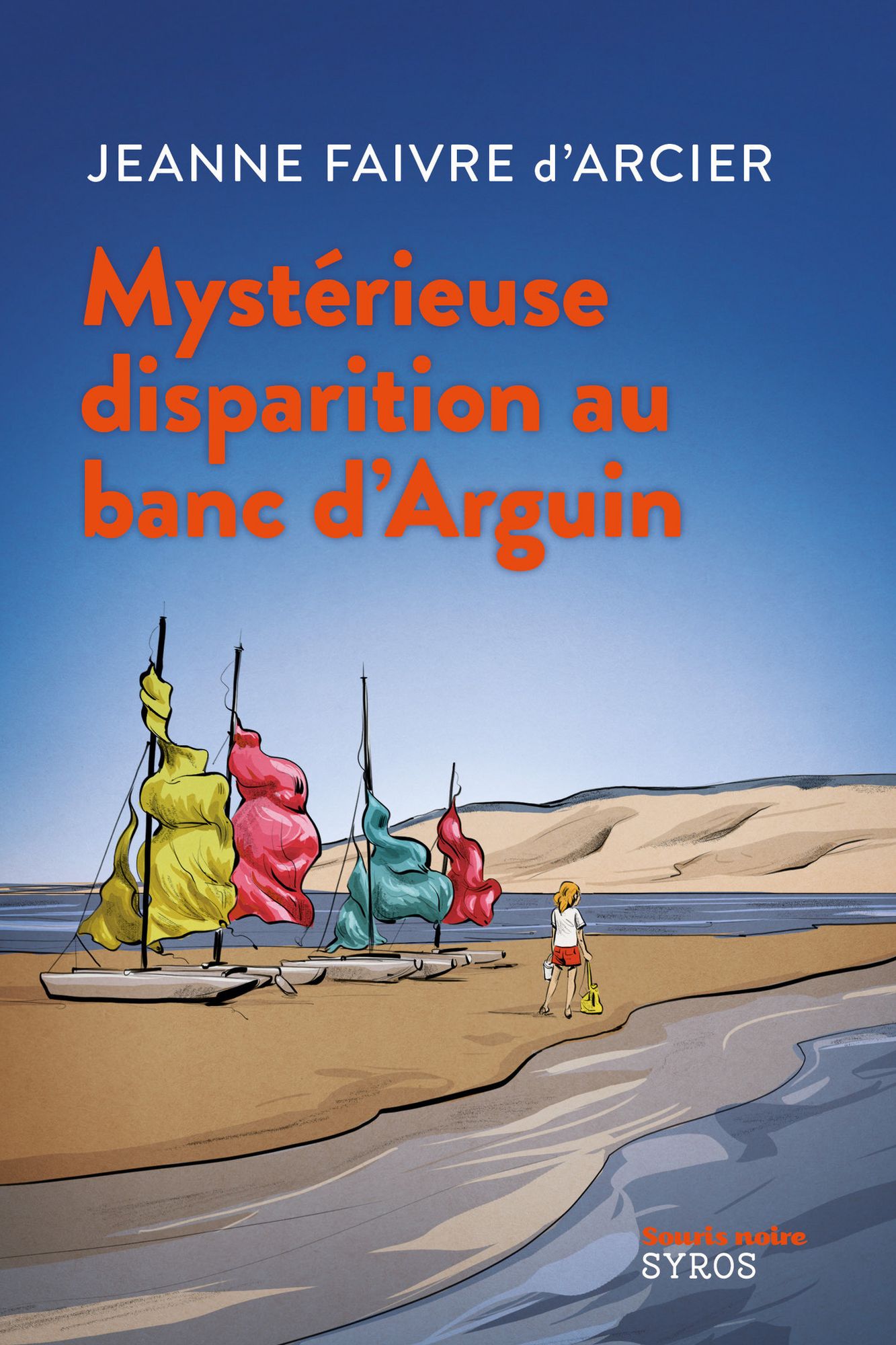 Mystérieuse disparition au banc d'Arguin