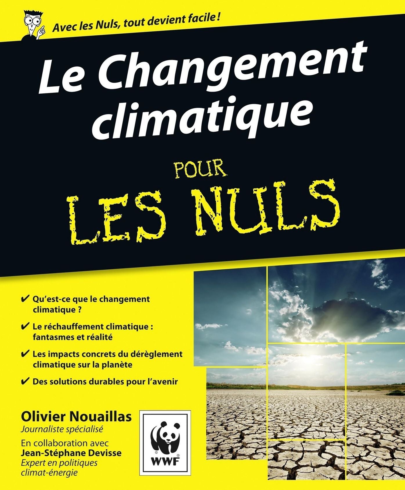 Le Changement climatique Pour les Nuls