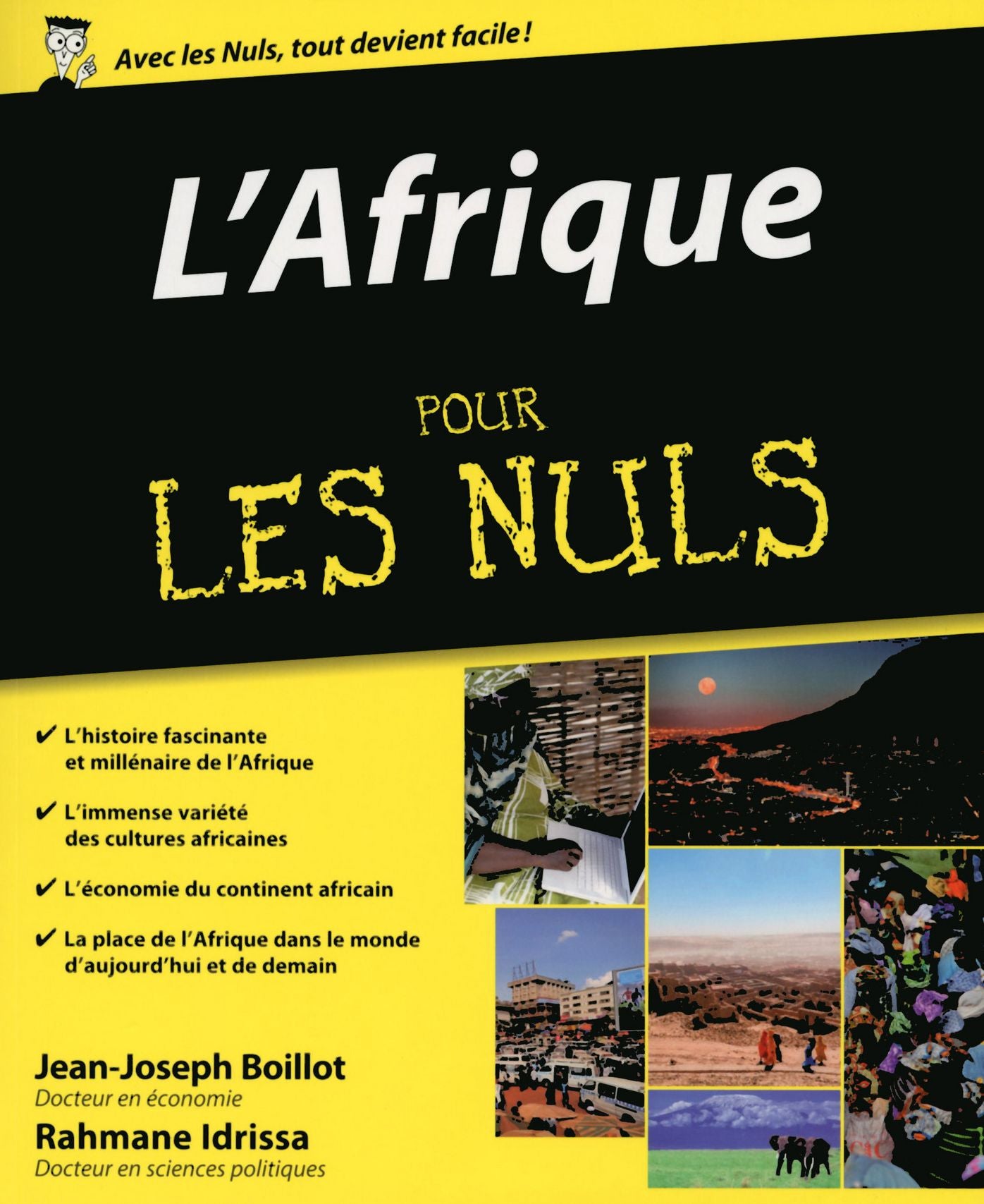 L'Afrique pour les Nuls