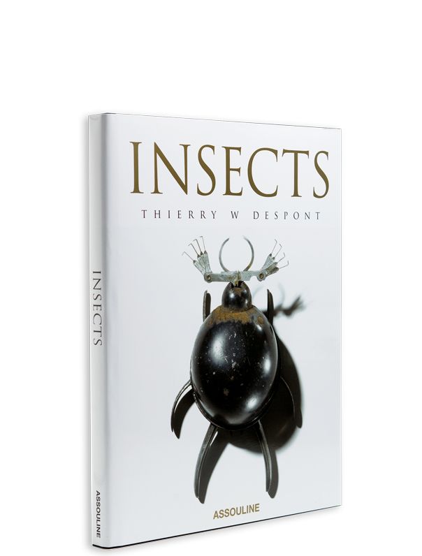 Insects