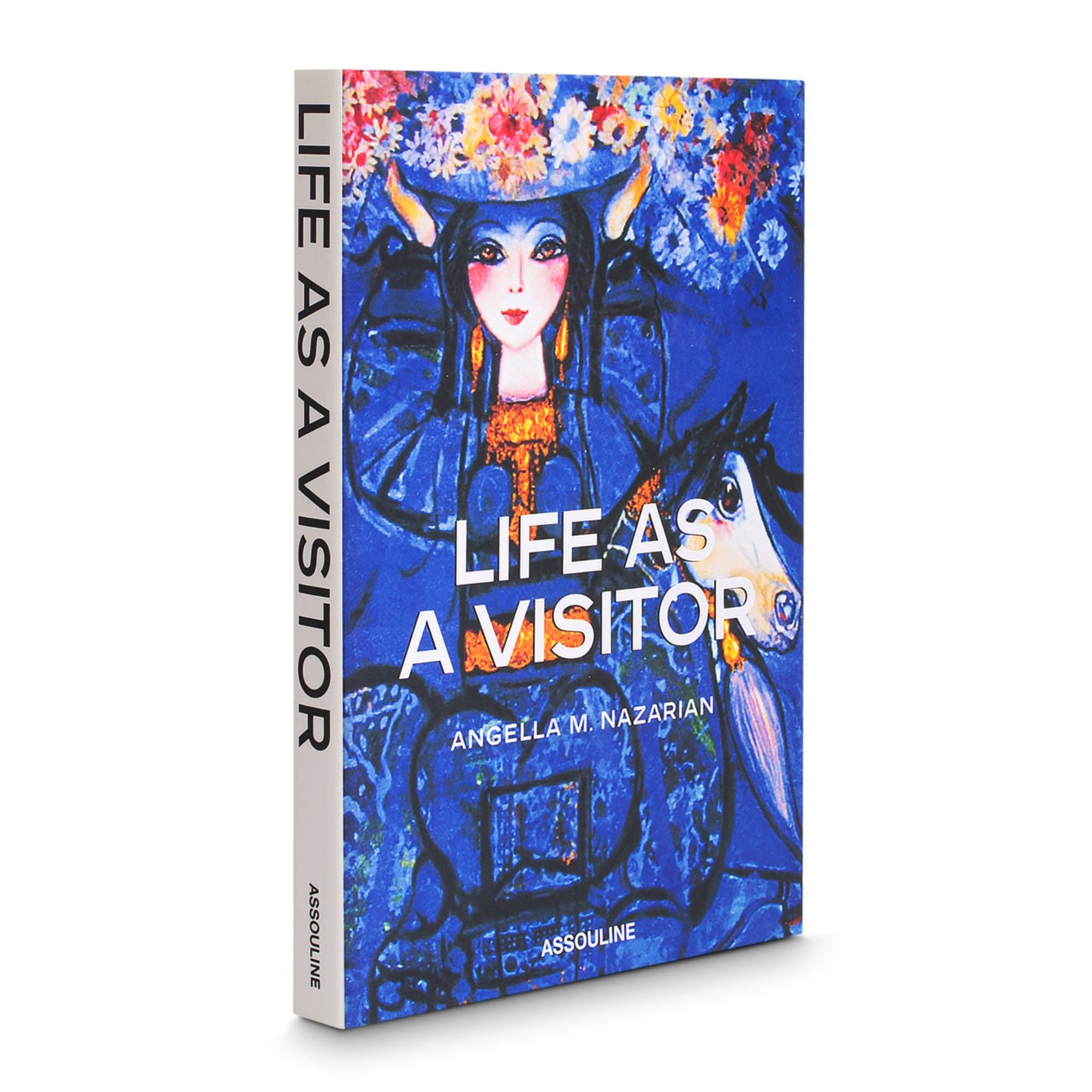 Life as a Visitor