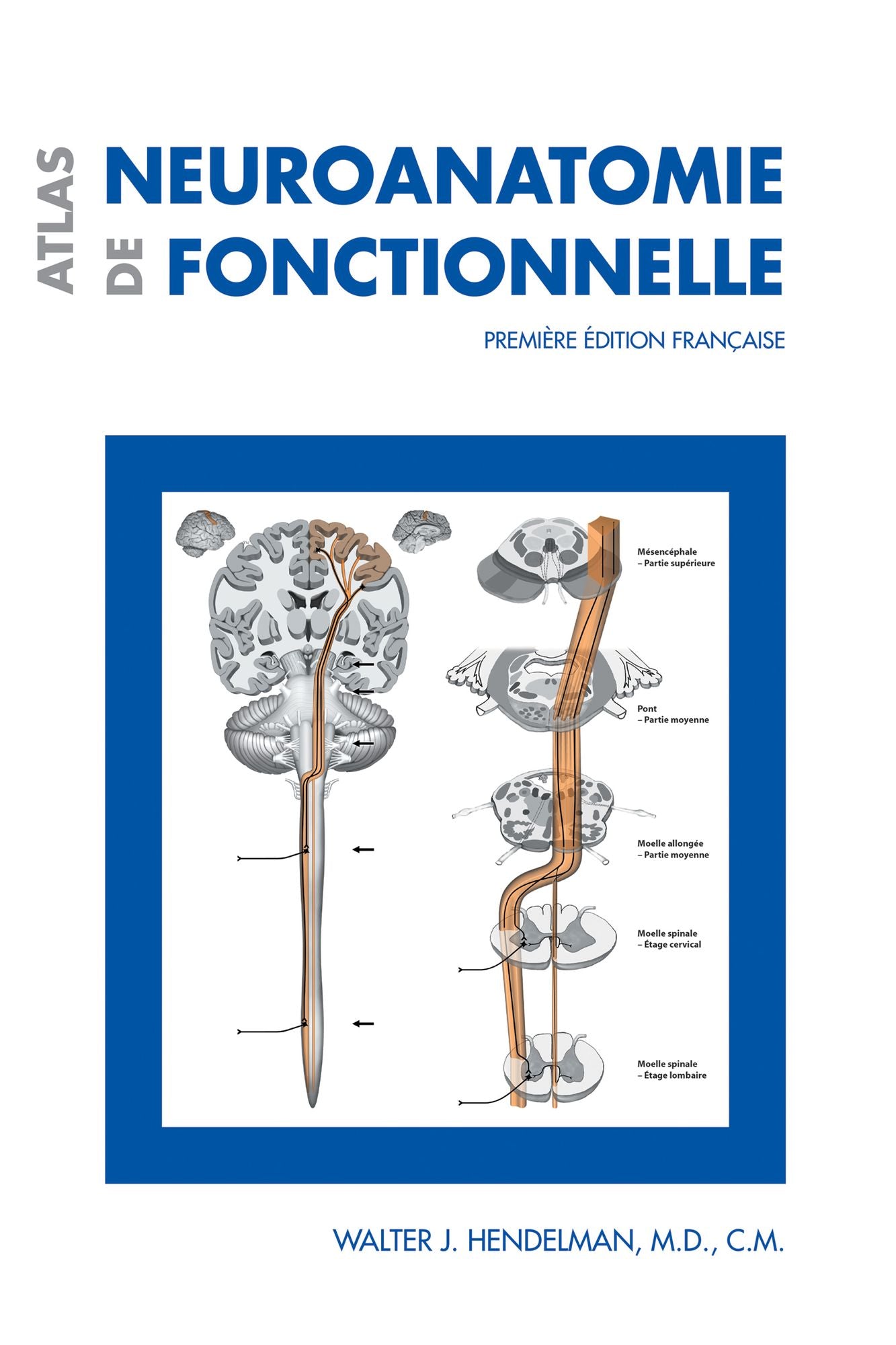 Atlas de neuroanatomie fonctionnelle: Premiere edition francaise