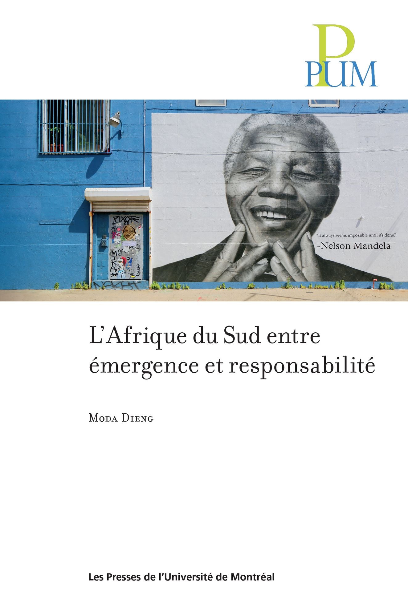 L'Afrique du Sud entre émergence et responsabilité
