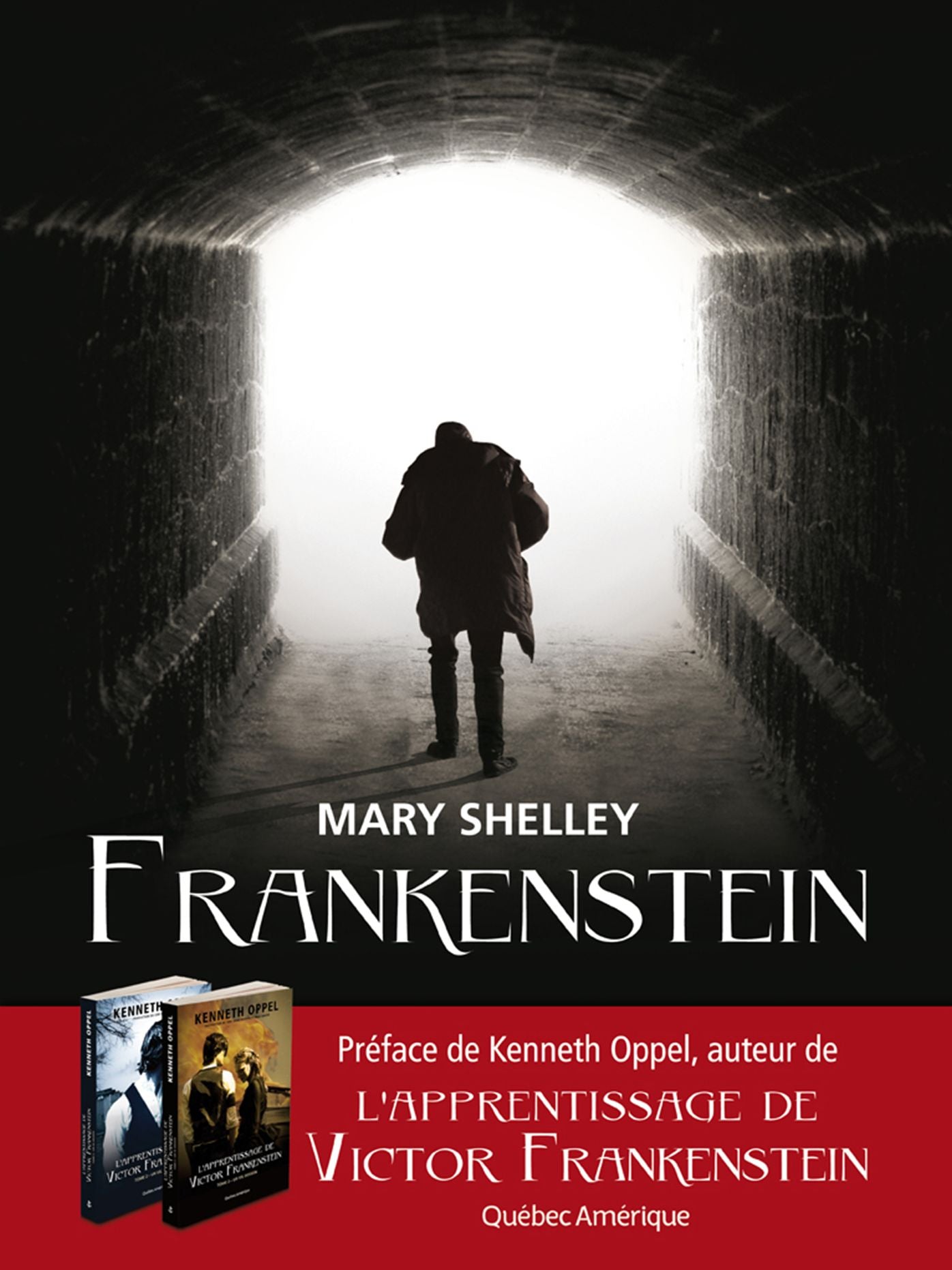 Frankenstein: ou Le Prométhée moderne