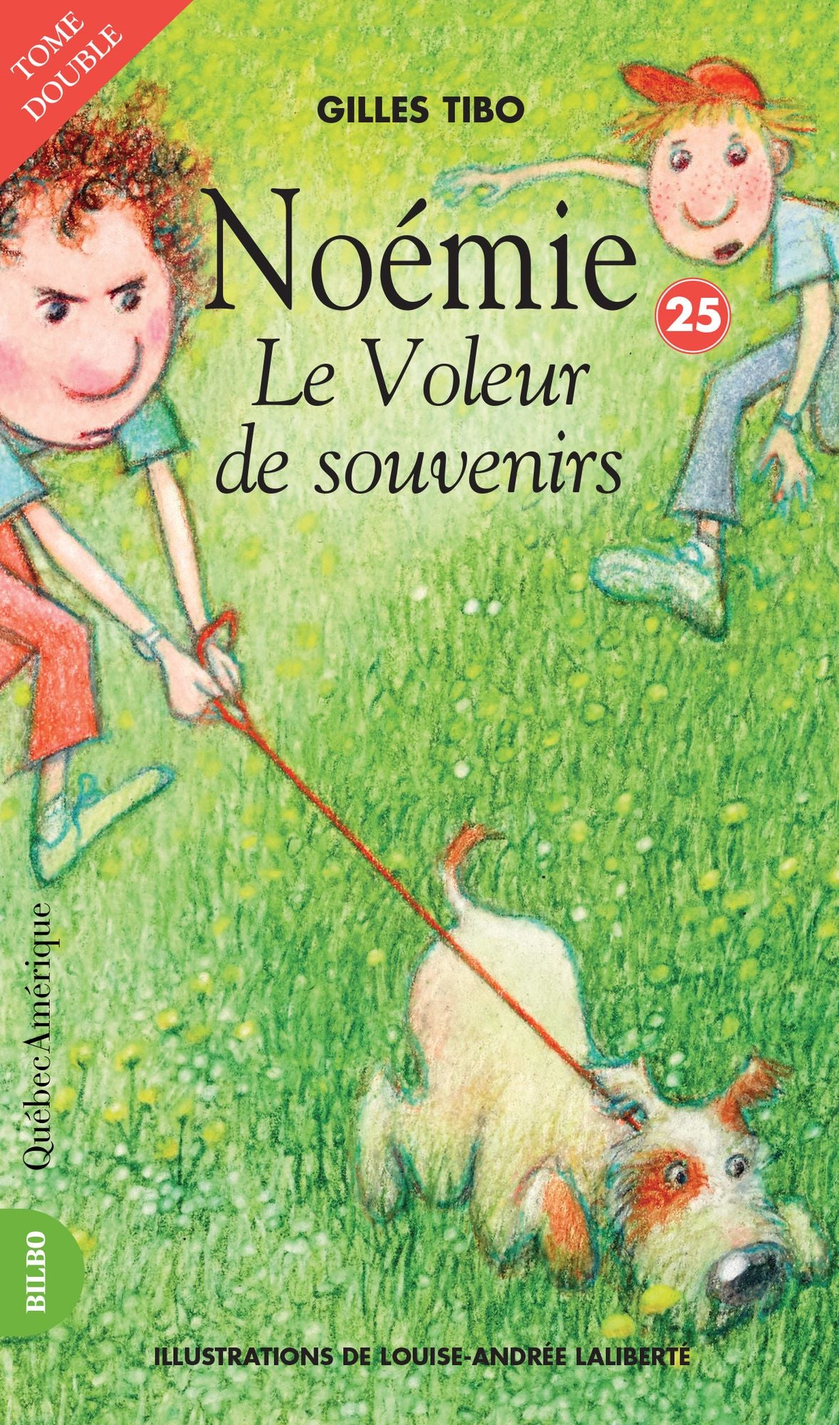 Noémie 25 - Le Voleur de souvenirs: Le Voleur de souvenirs