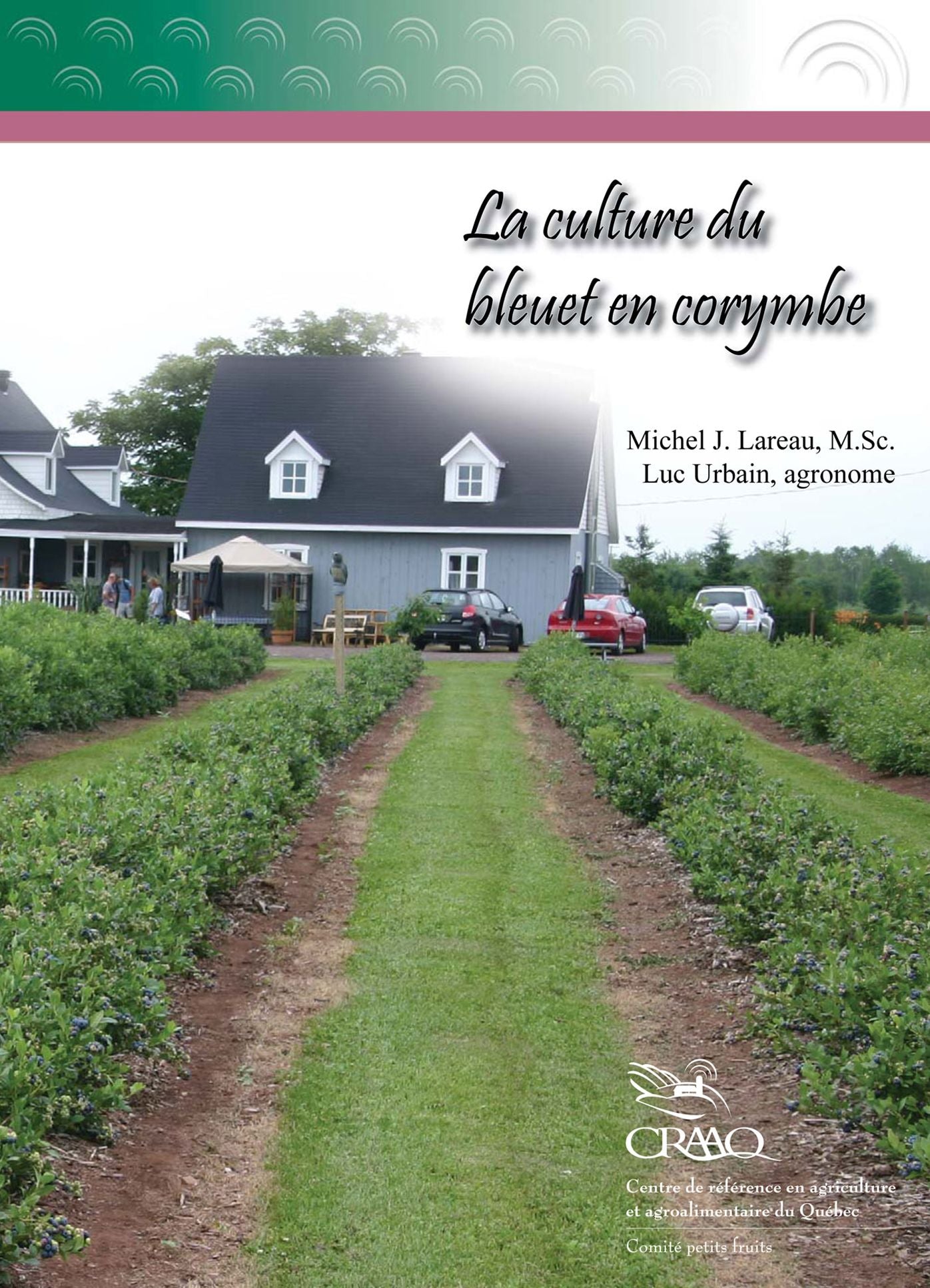 La culture du bleuet en corymbe