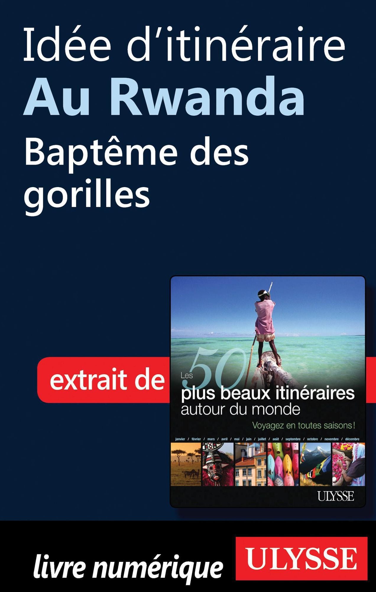 Idée d'itinéraire au Rwanda - Baptême des gorilles