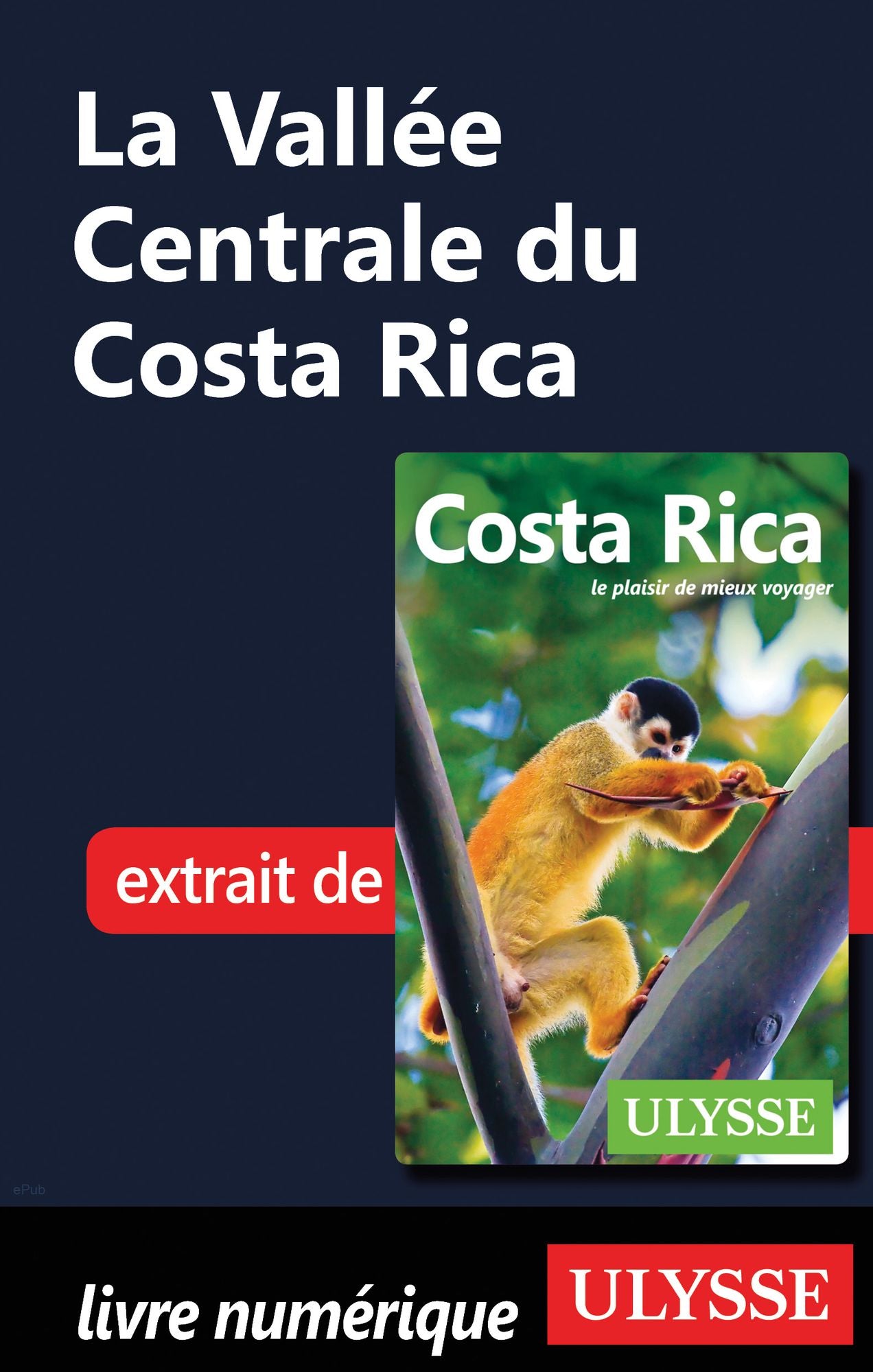 La Vallée Centrale du Costa Rica