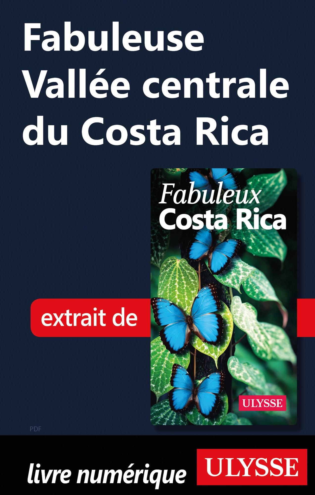 Fabuleuse Vallée centrale du Costa Rica