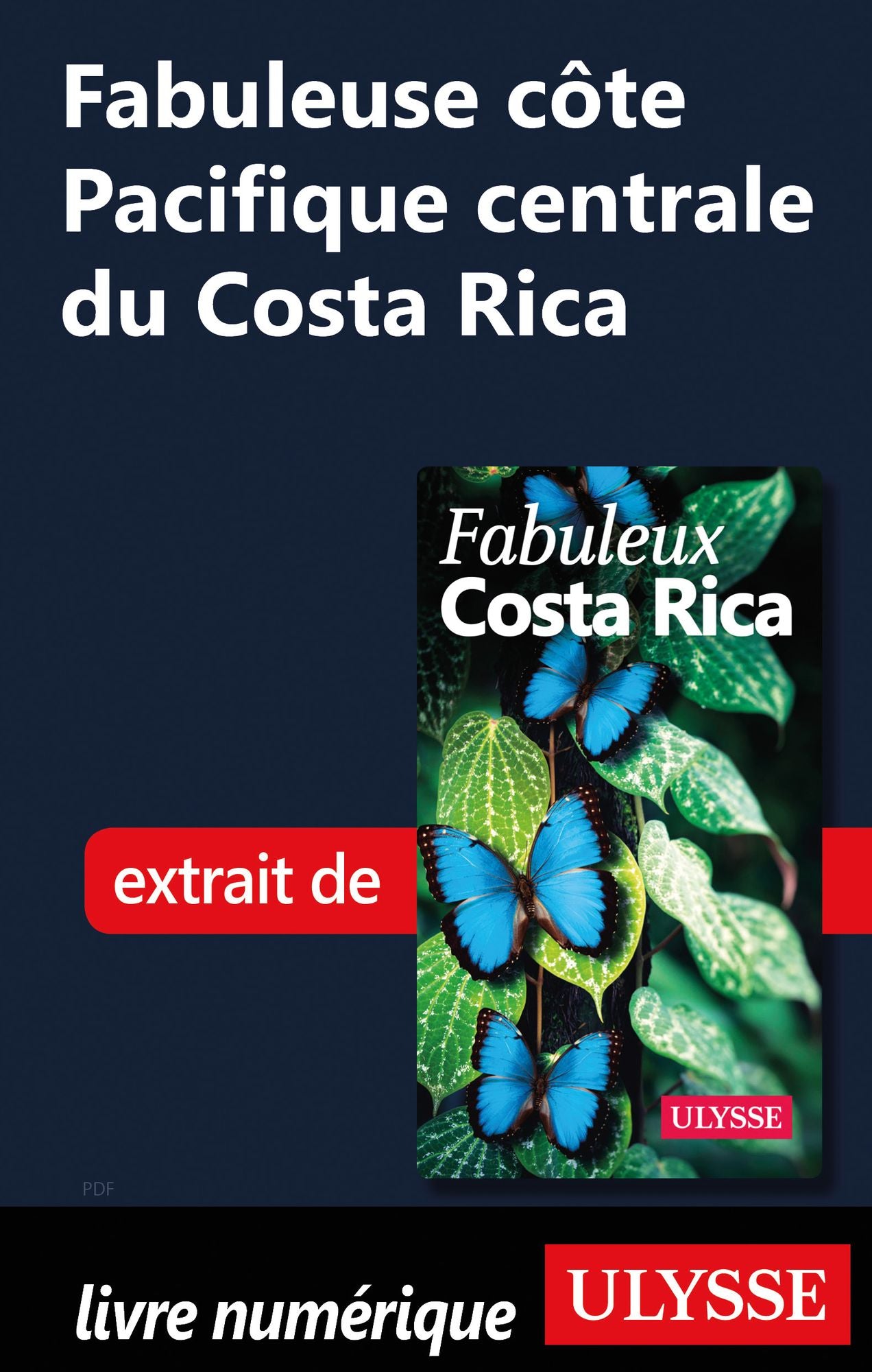 Fabuleuse côte Pacifique centrale du Costa Rica