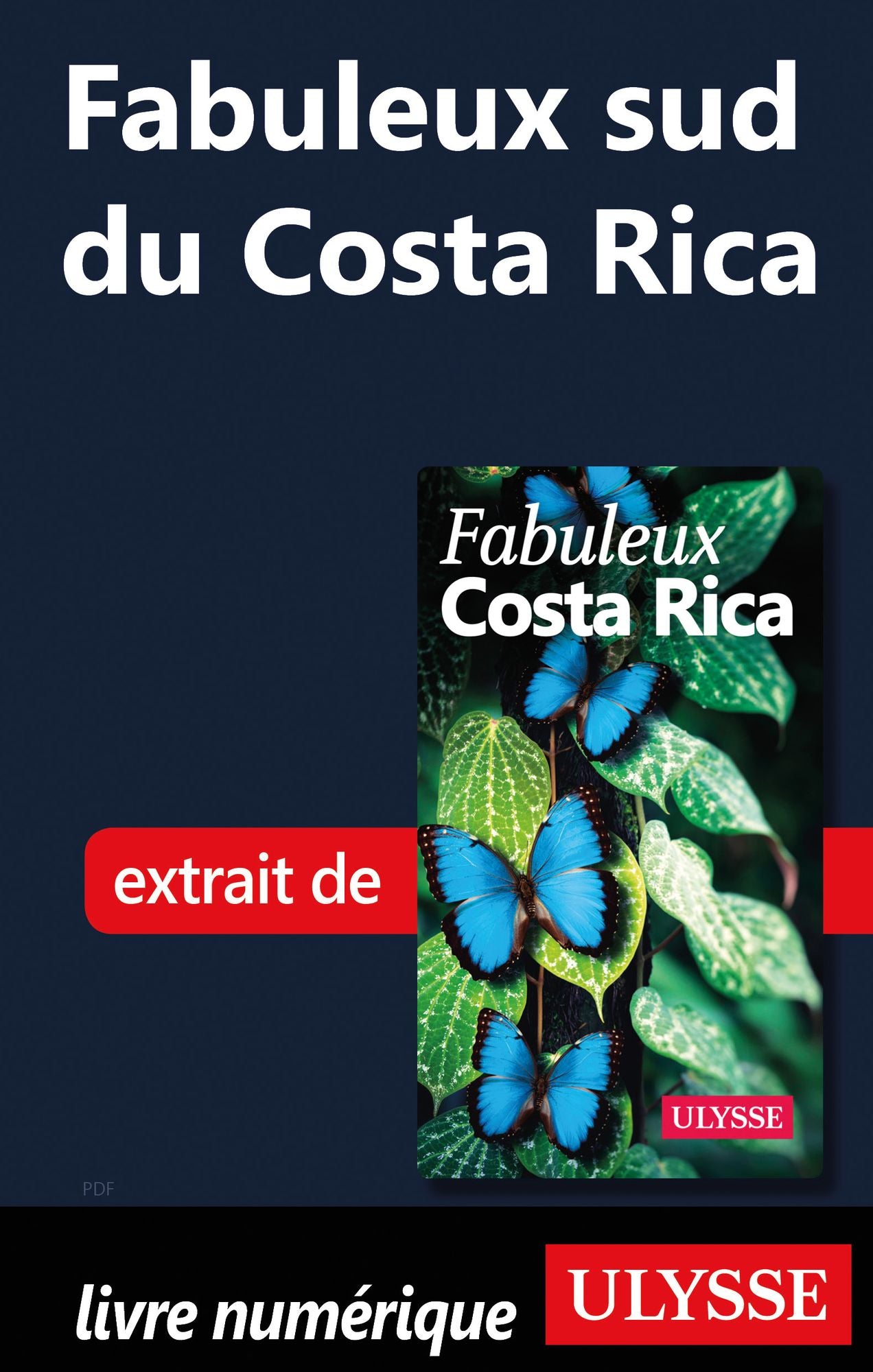 Fabuleux sud du Costa Rica