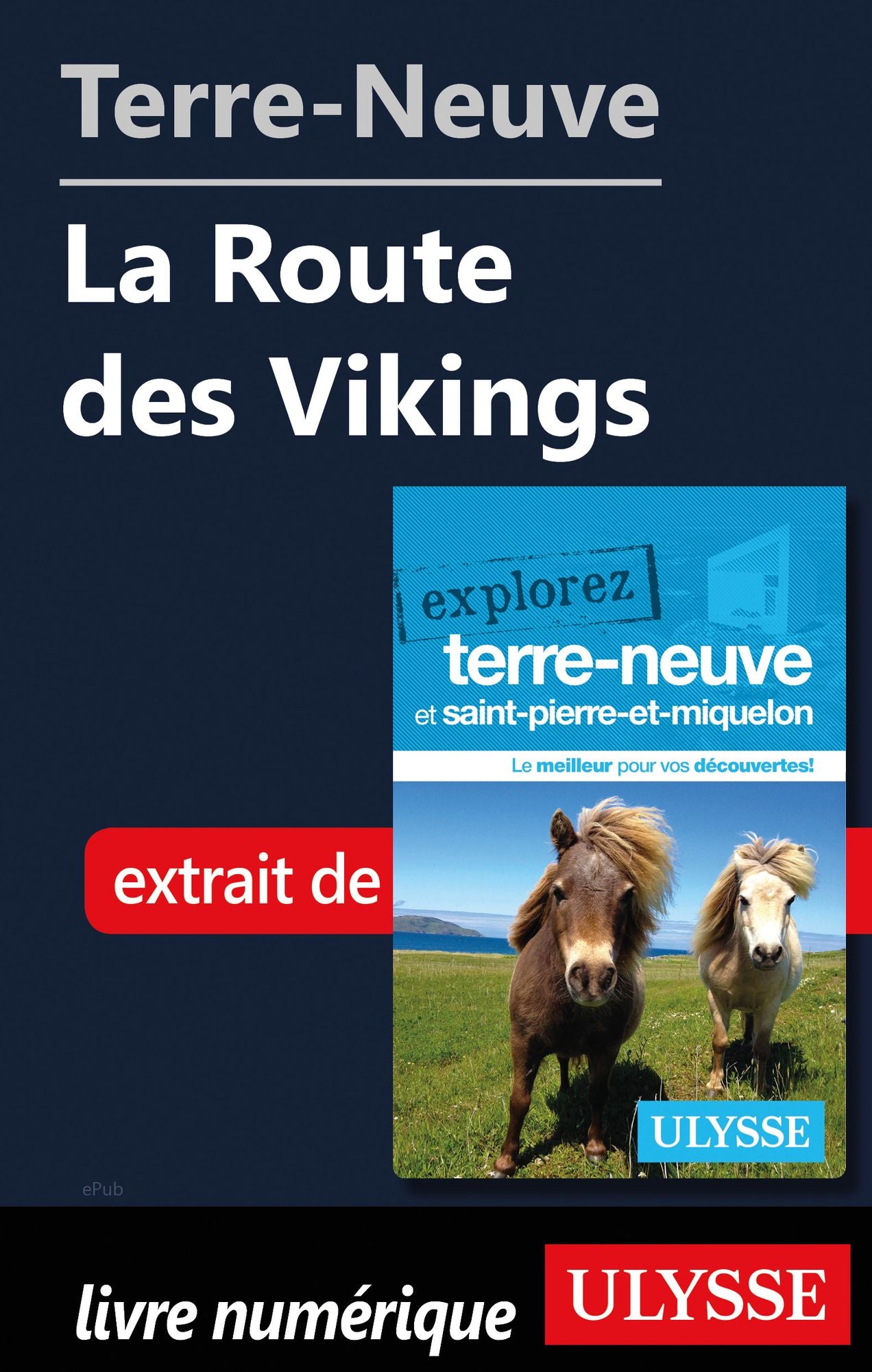 Terre-Neuve: La Route des Vikings