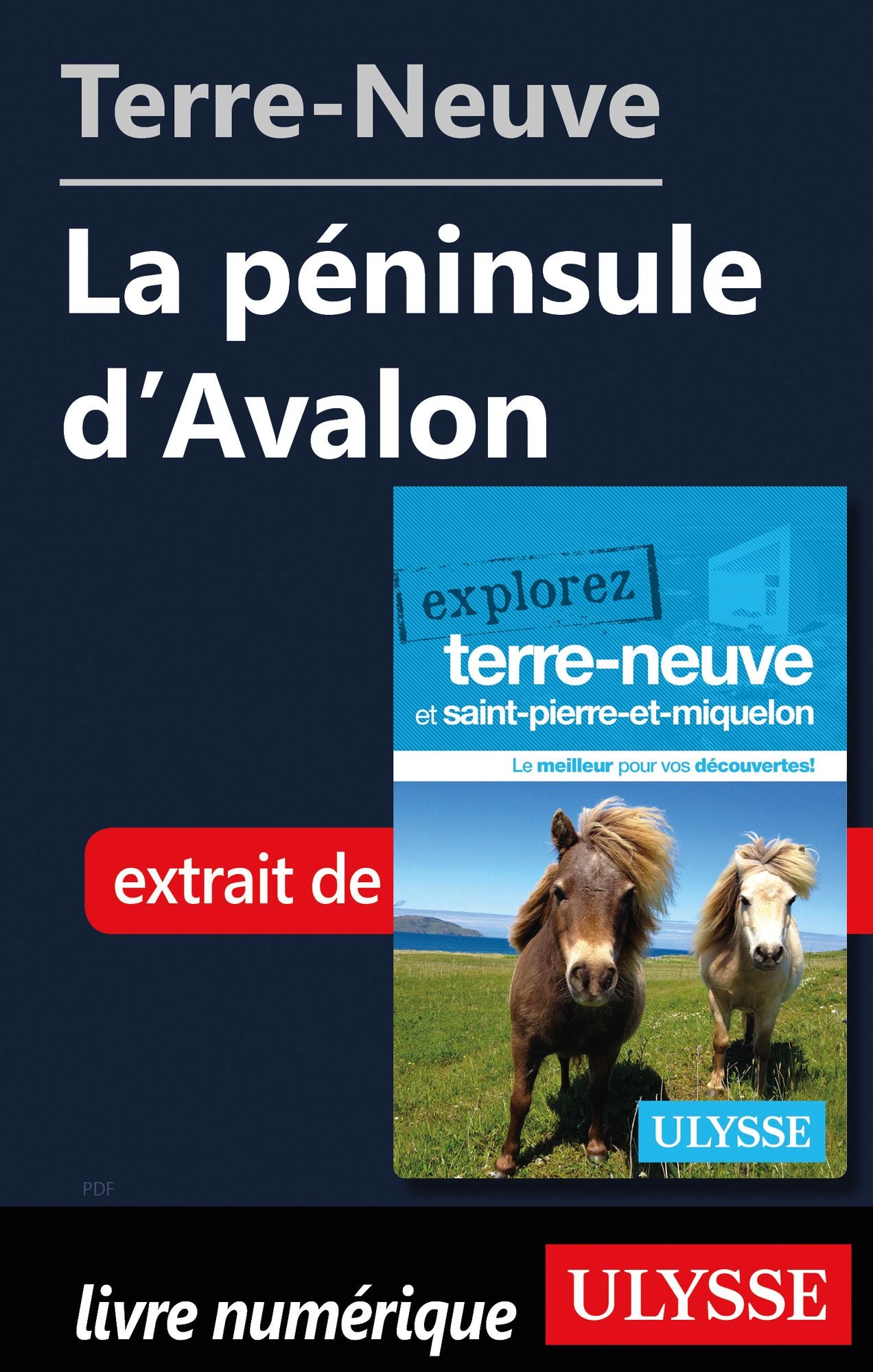 Terre-Neuve: La péninsule d'Avalon