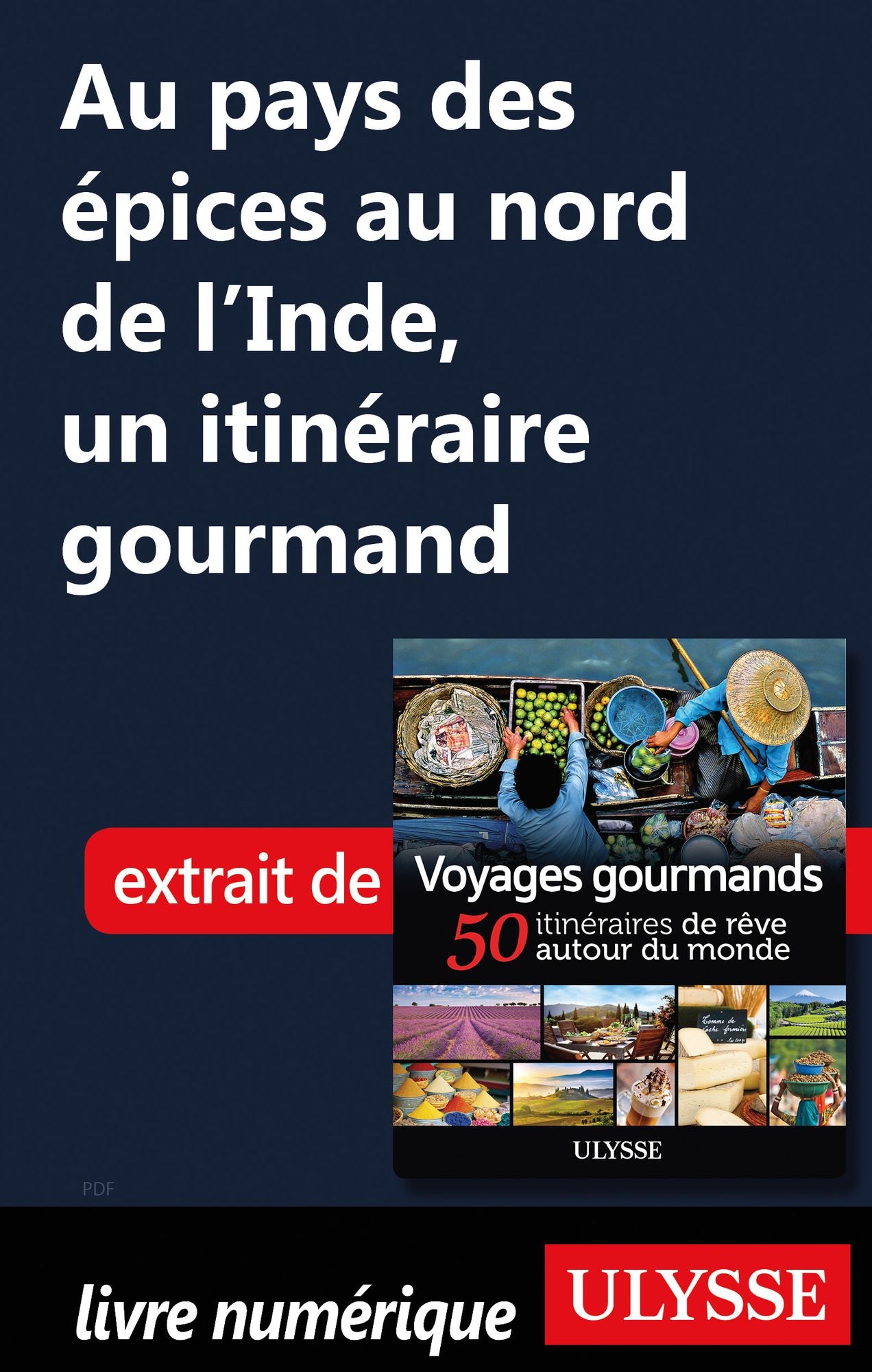 Au pays des épices au nord de l'Inde, un itinéraire gourmand