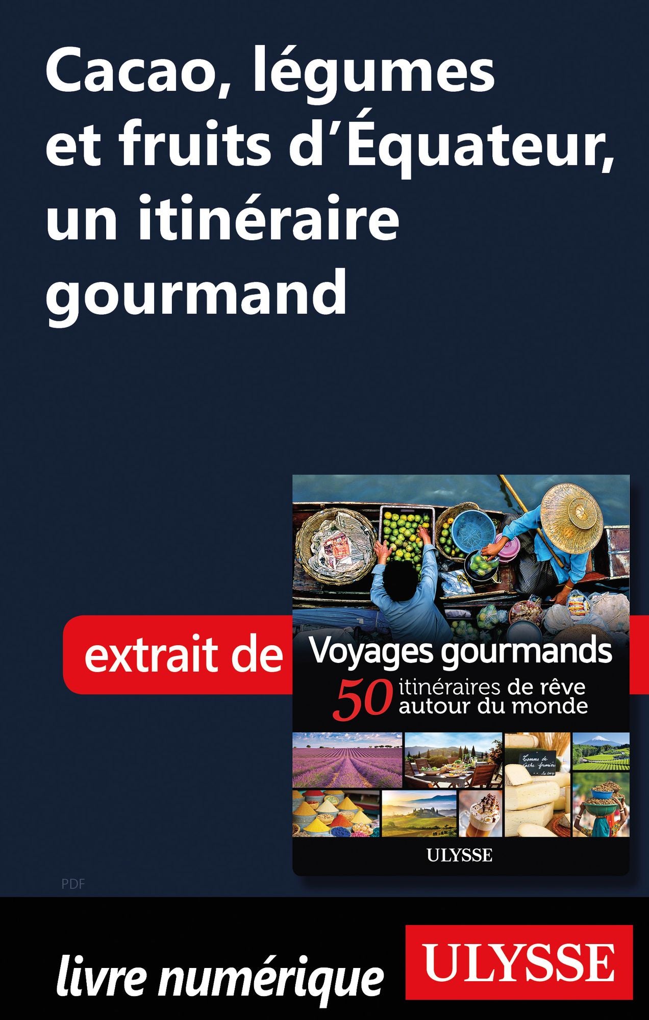 Cacao, légumes et fruits d'Équateur, un itinéraire gourmand