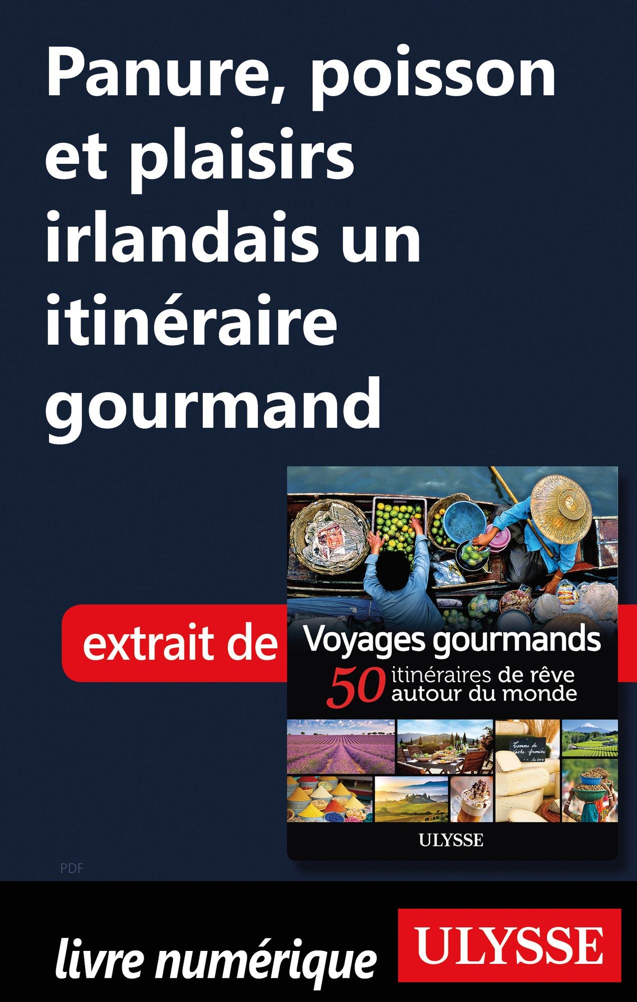 Panure, poisson et plaisirs irlandais un itinéraire gourmand