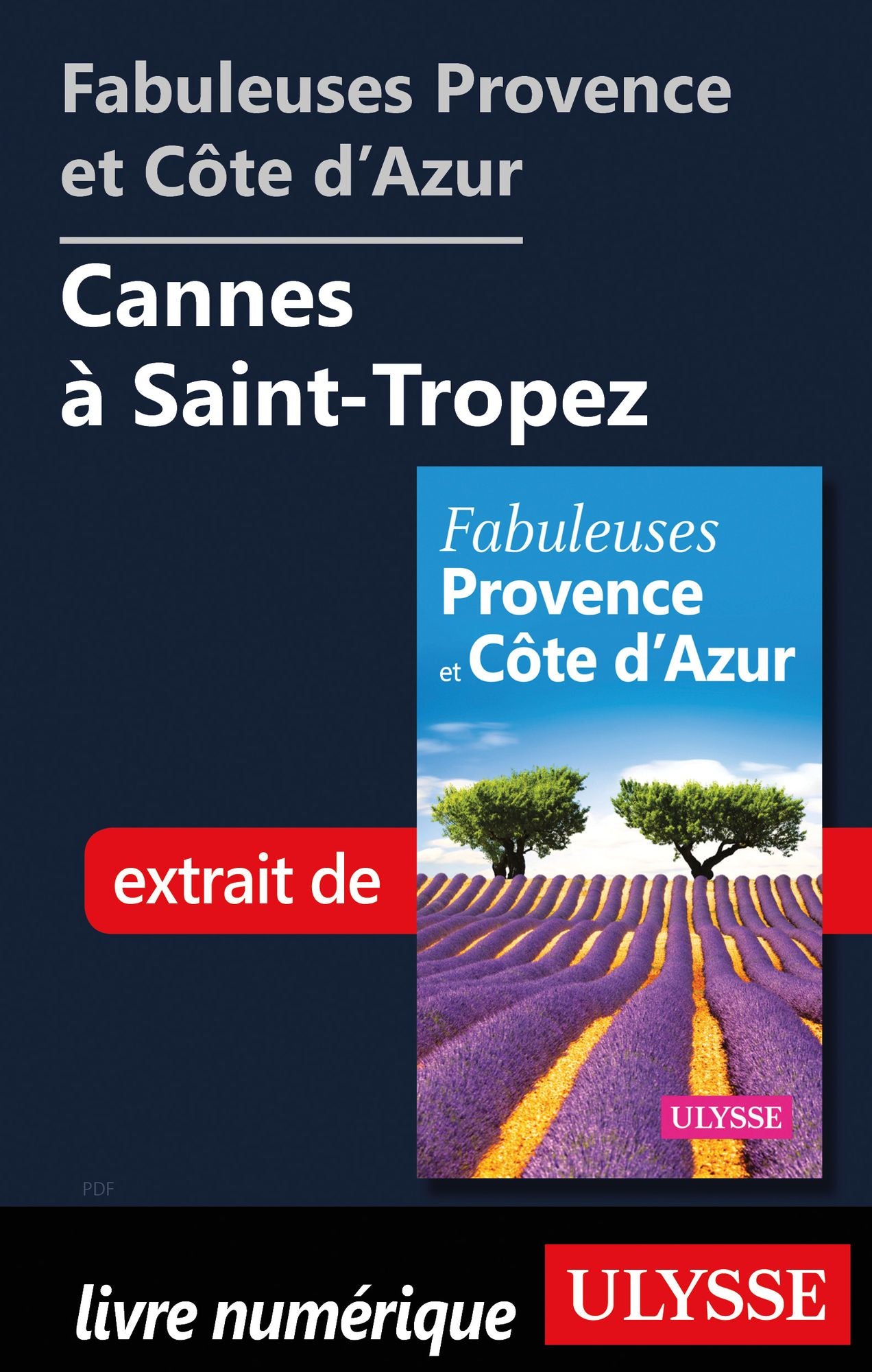 Fabuleuses Provence et Côte d'Azur: Cannes à Saint-Tropez