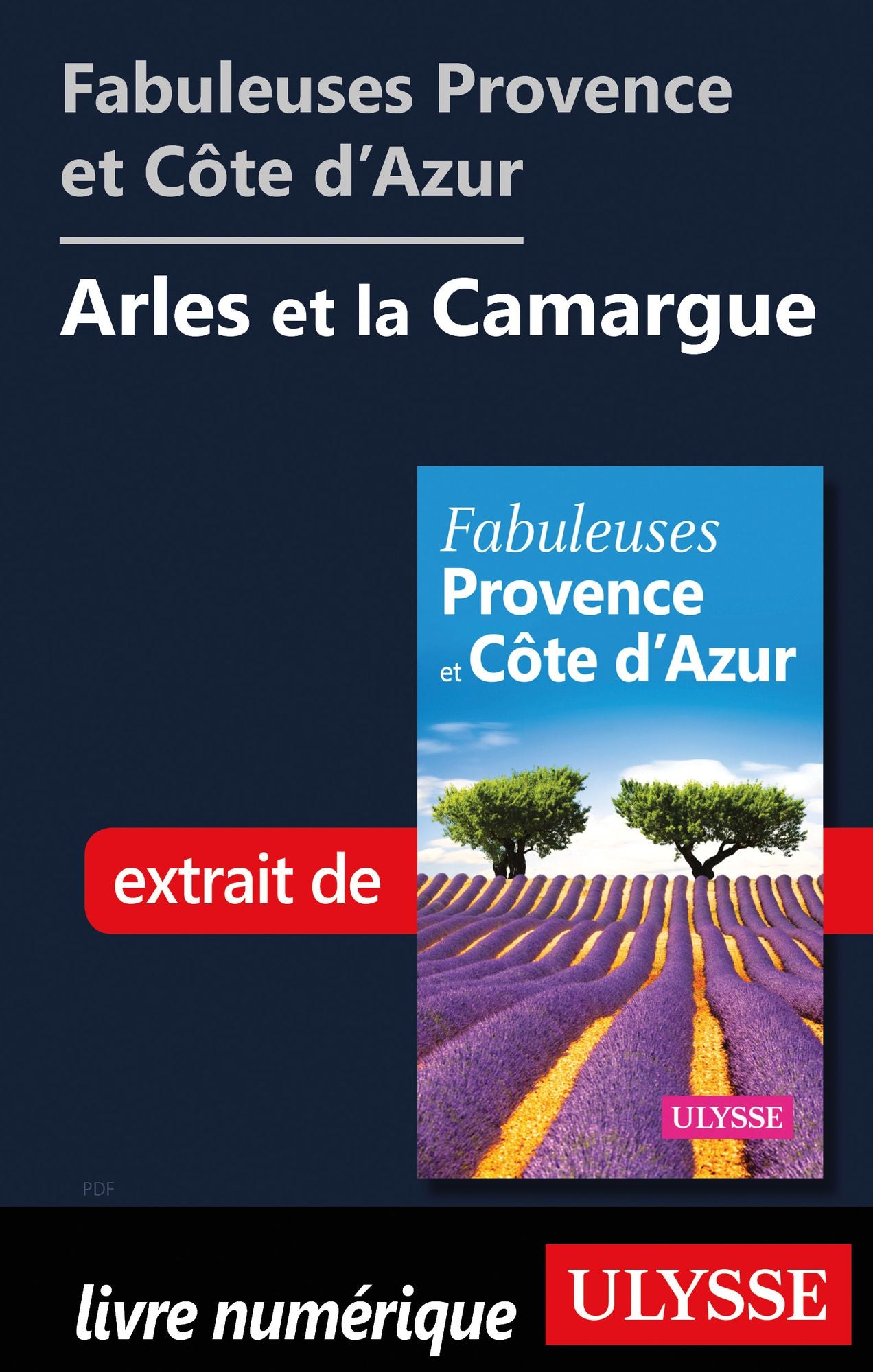 Fabuleuses Provence et Côte d'Azur: Arles et la Camargue