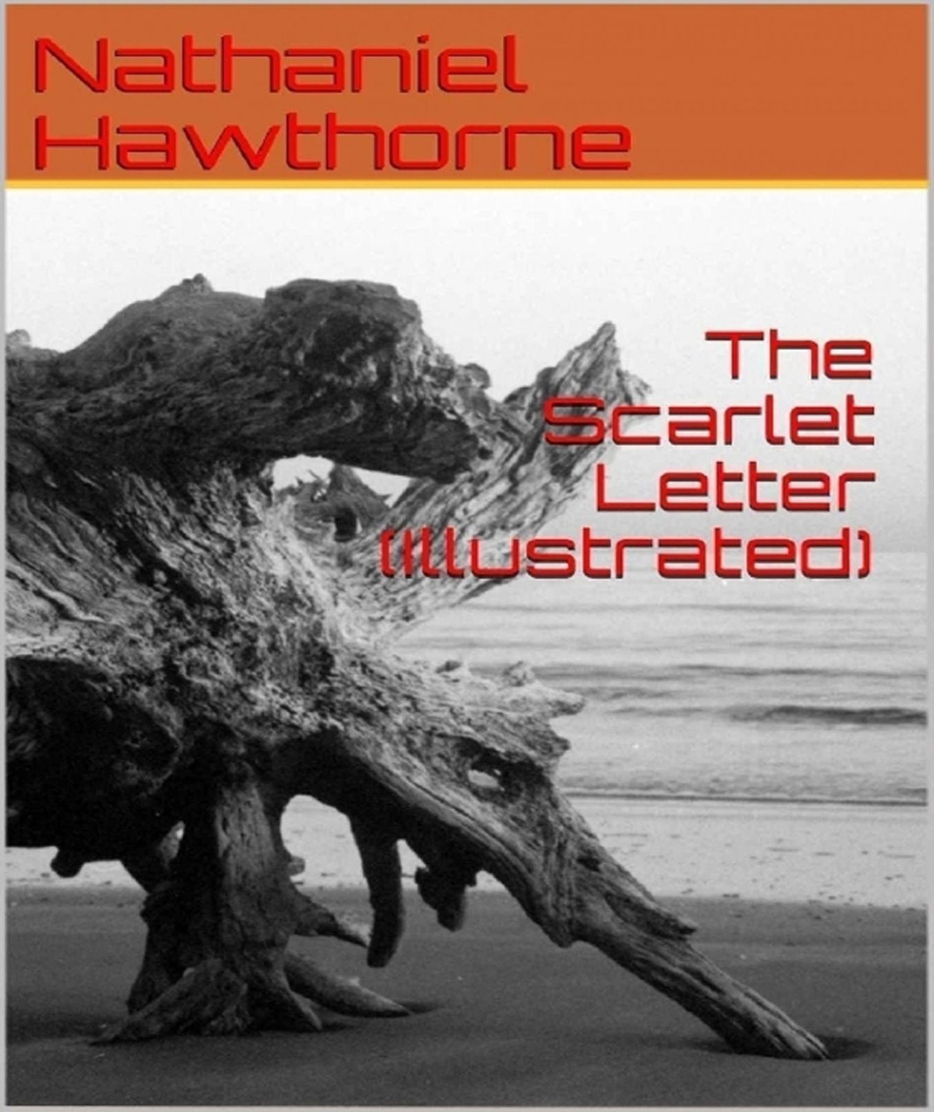 The Scarlet Letter (Illustrated)