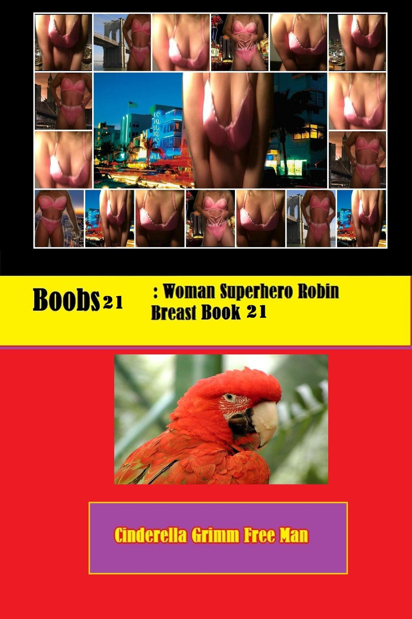 Robin Red Breast: Woman Superhero Detective Book 21