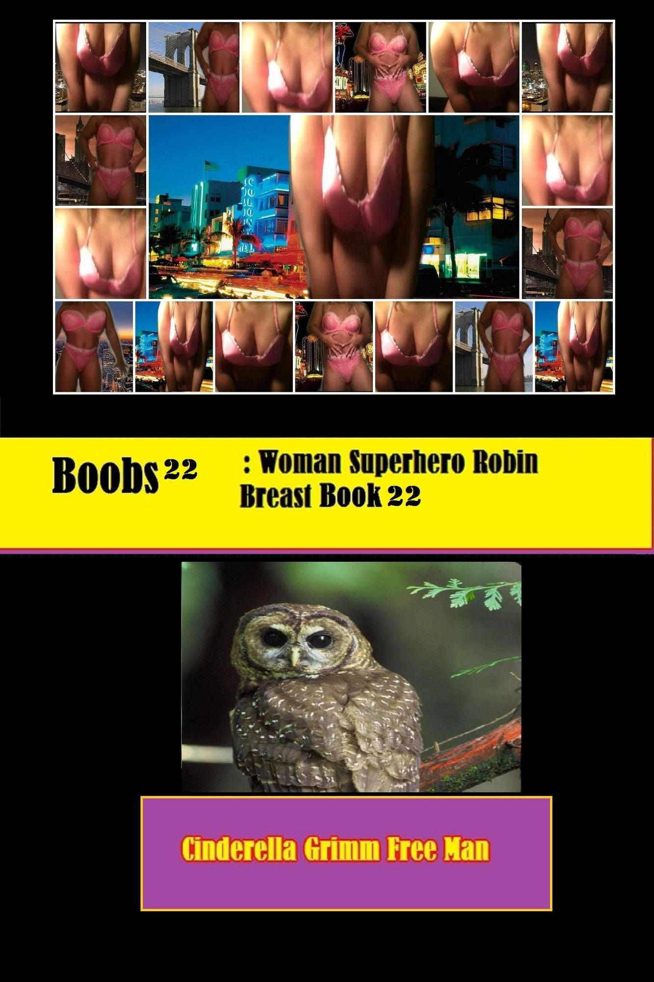 Robin Red Breast: Woman Superhero Detective Book 22