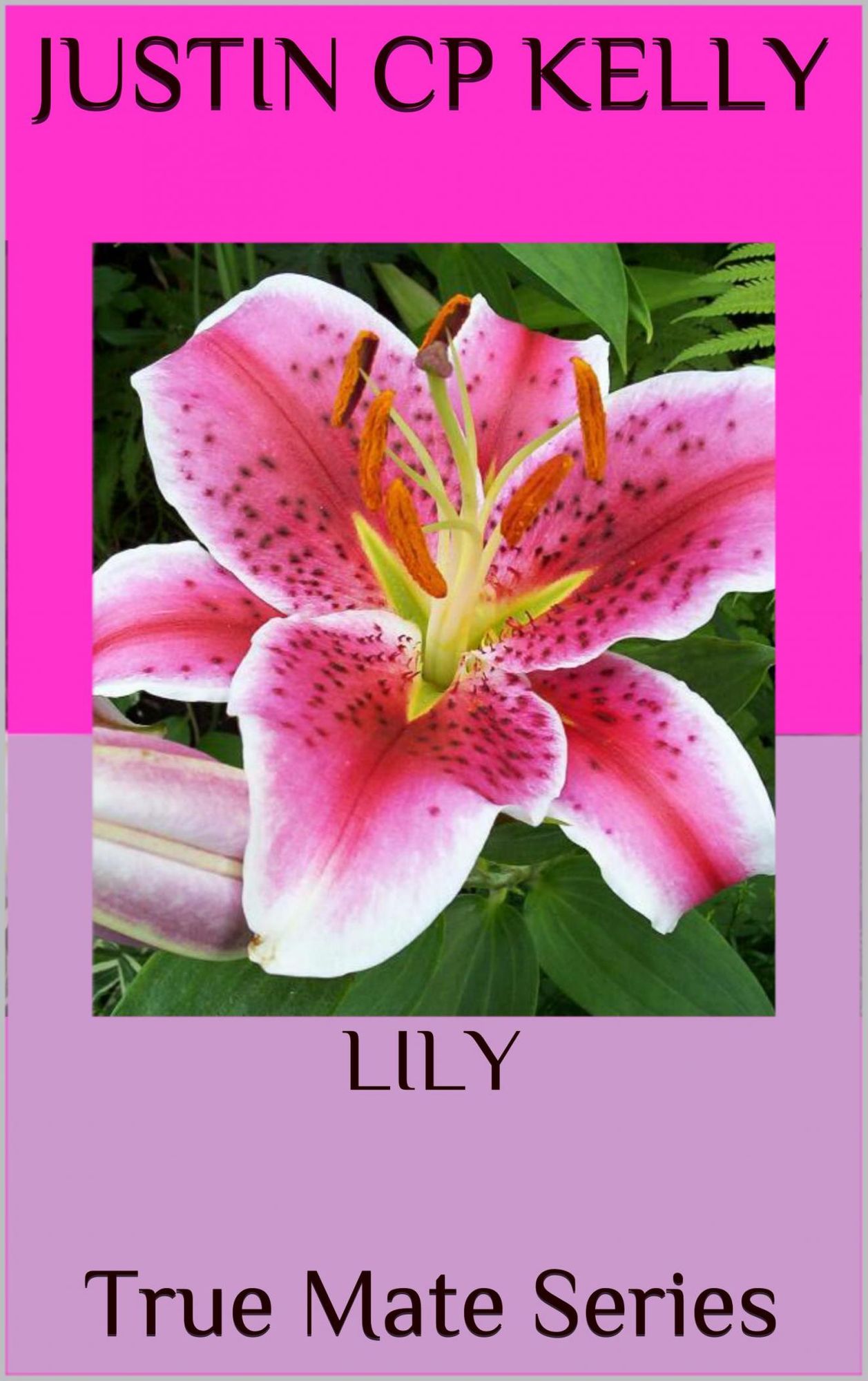 Lily: Verdadera pareja serie