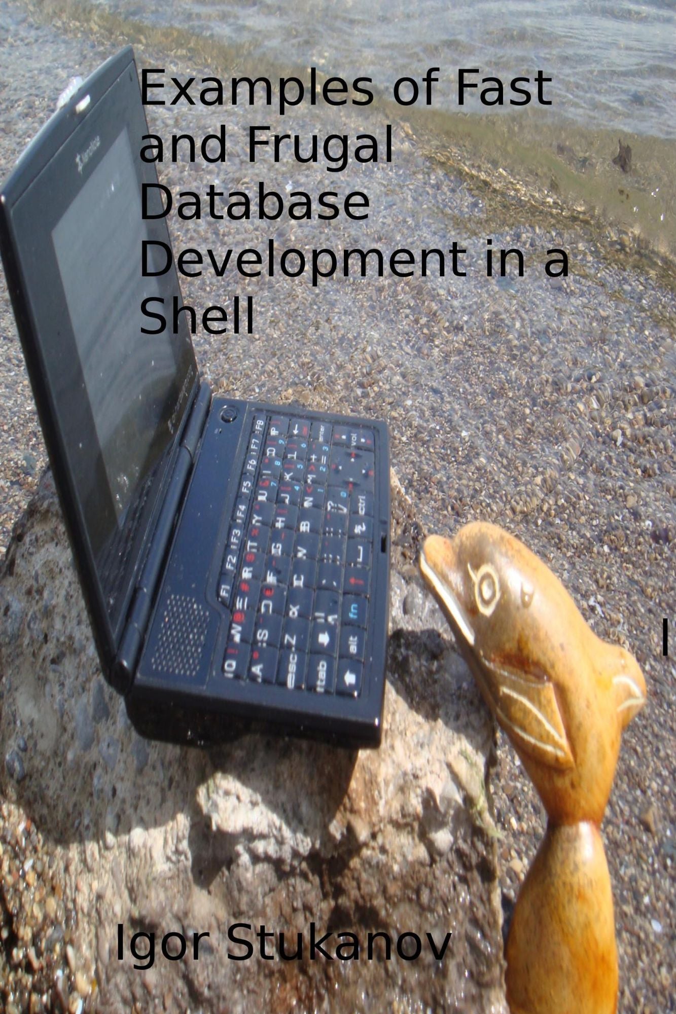 Examples of Fast and Frugal Database Development in a Shell