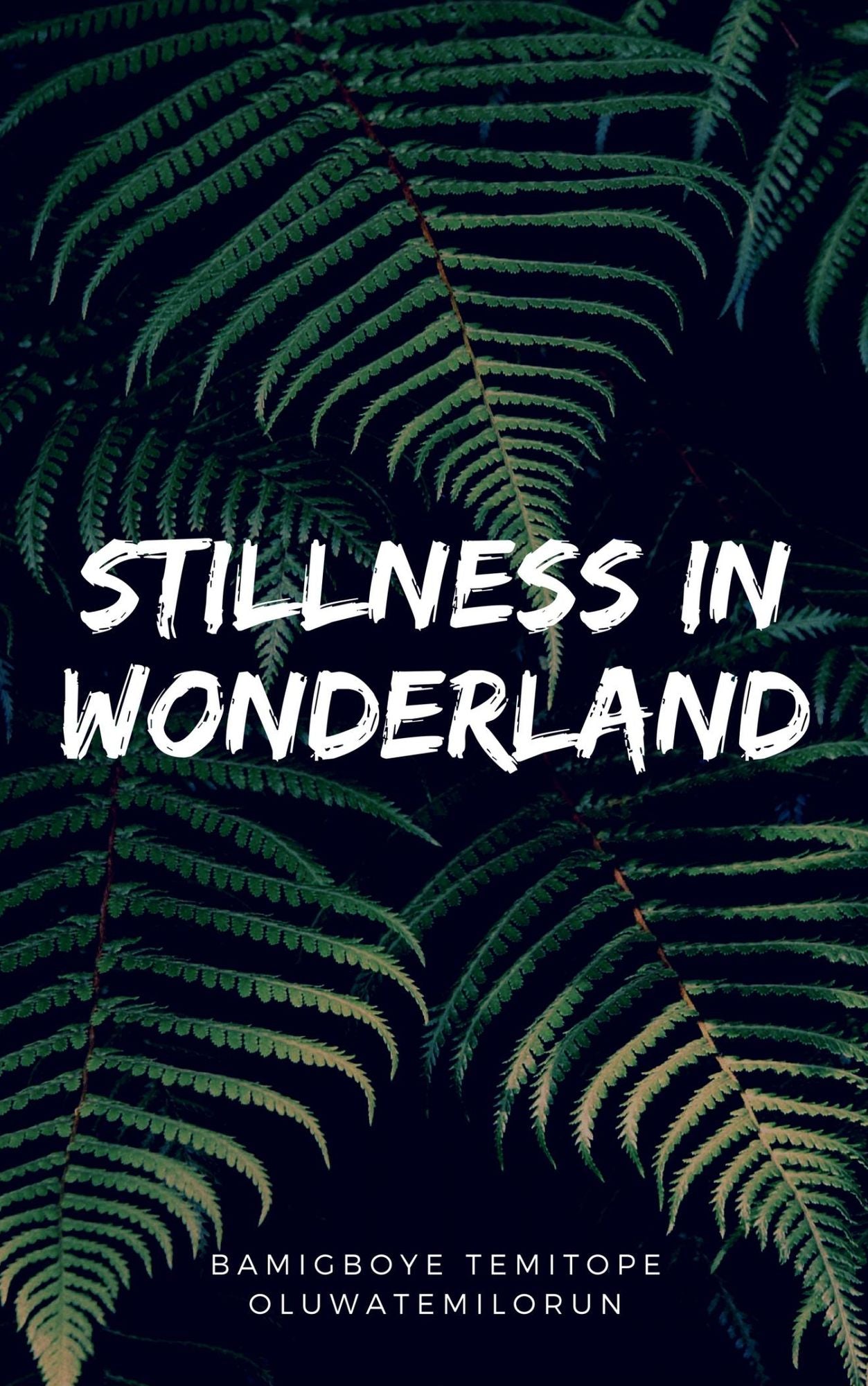 Stillness In Wonderland