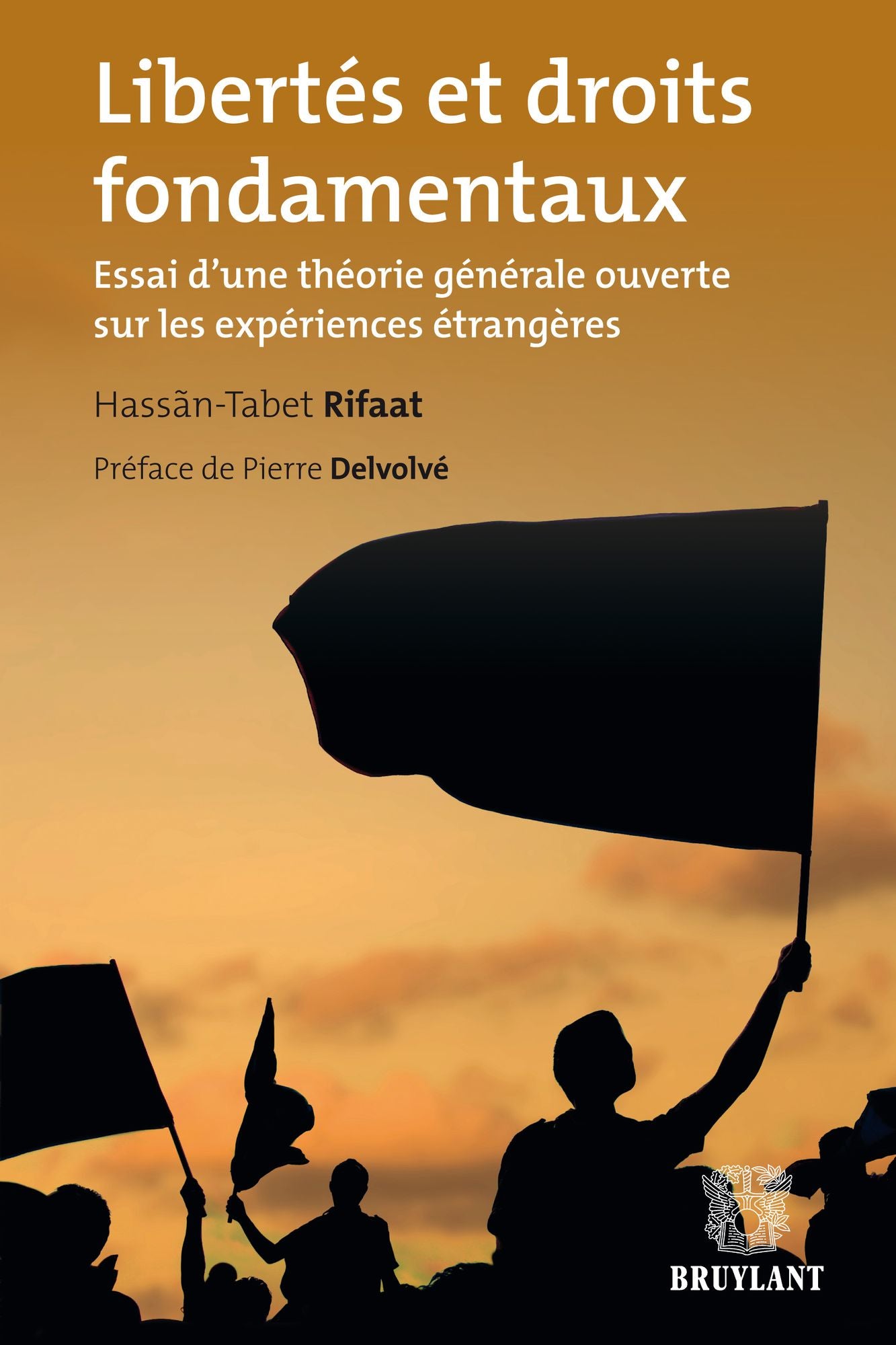 Libertés et droits fondamentaux: Essai d'une théorie générale ouverte sur les expériences étrangères