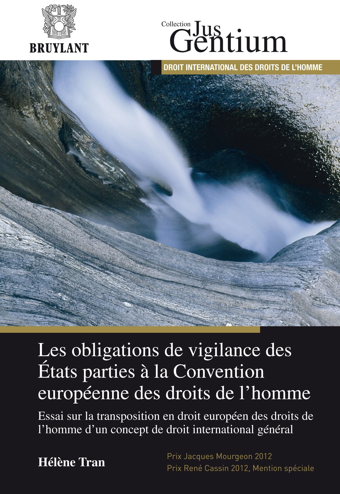 Les obligations de vigilance des États parties à la Convention européenne des droits de l'homme
