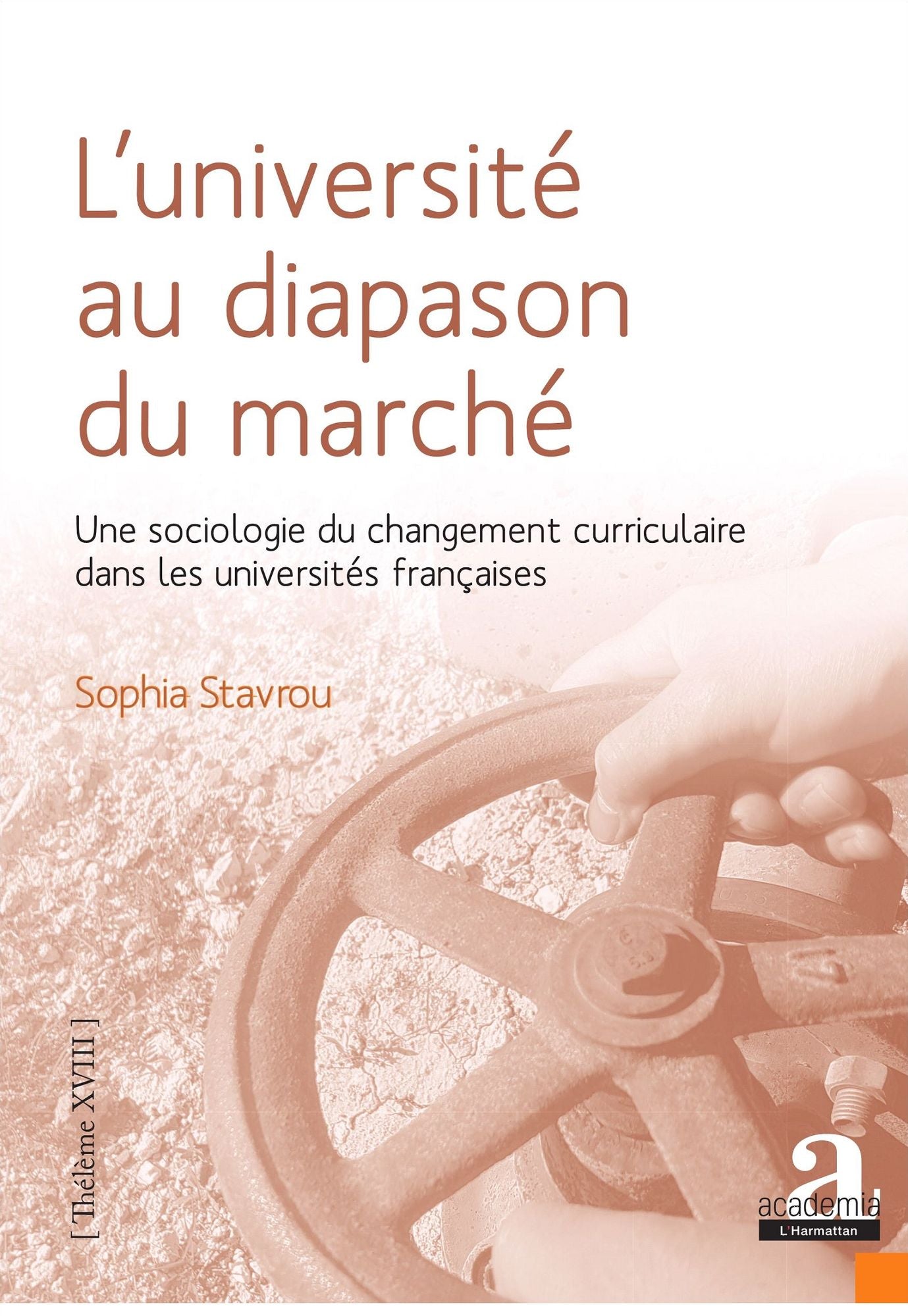L'université au diapason du marché: Une sociologie du changement curriculaire dans les universités françaises