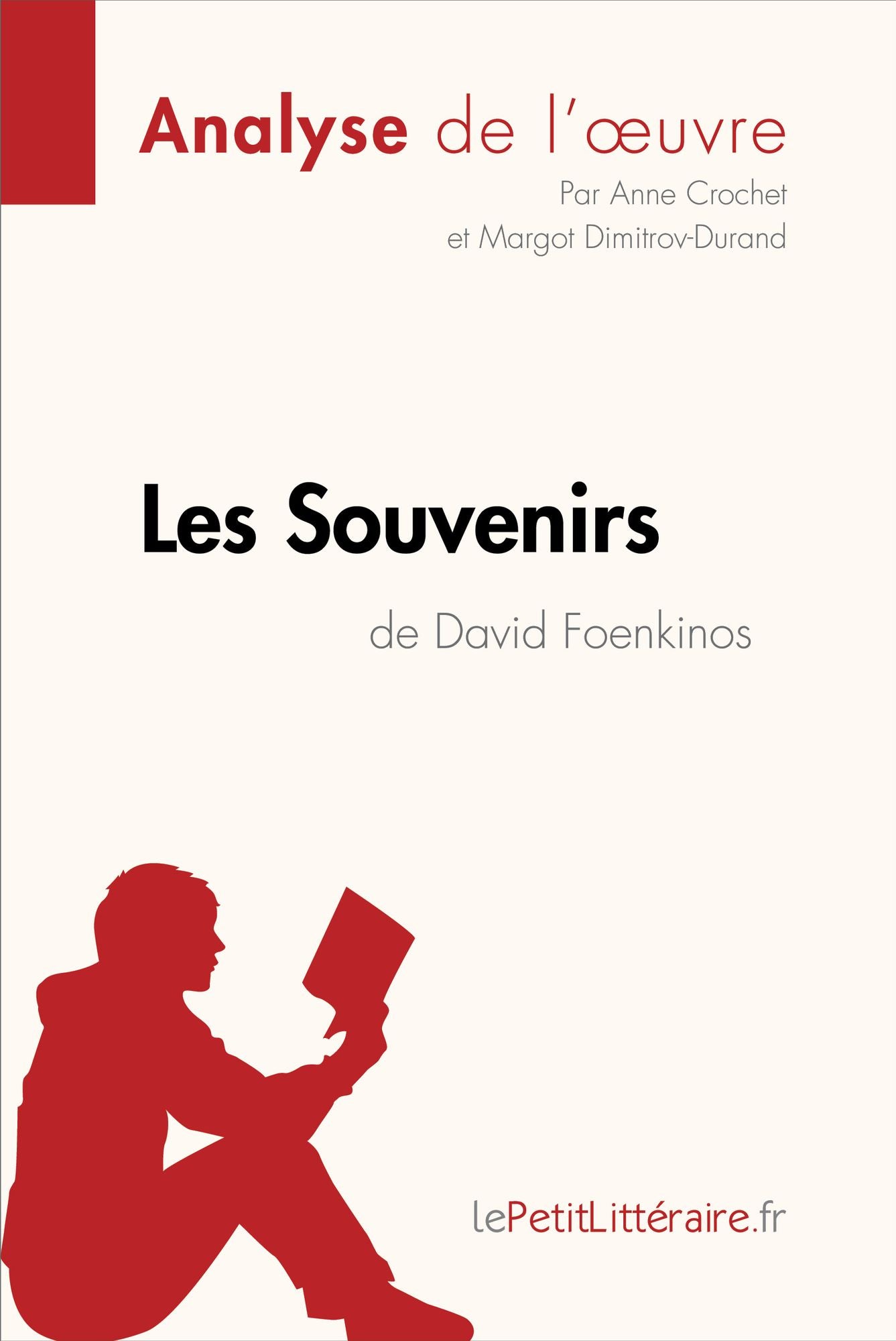 Les Souvenirs de David Foenkinos (Analyse de l'oeuvre): Comprendre la littérature avec lePetitLittéraire.fr