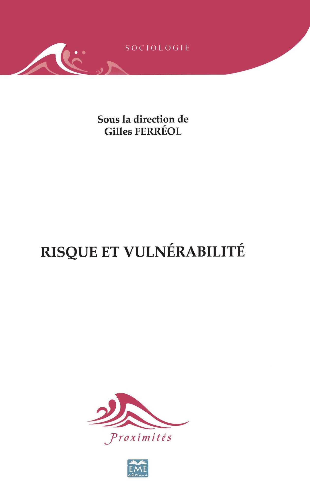 Risque et vulnérabilité: Essai de sociologie