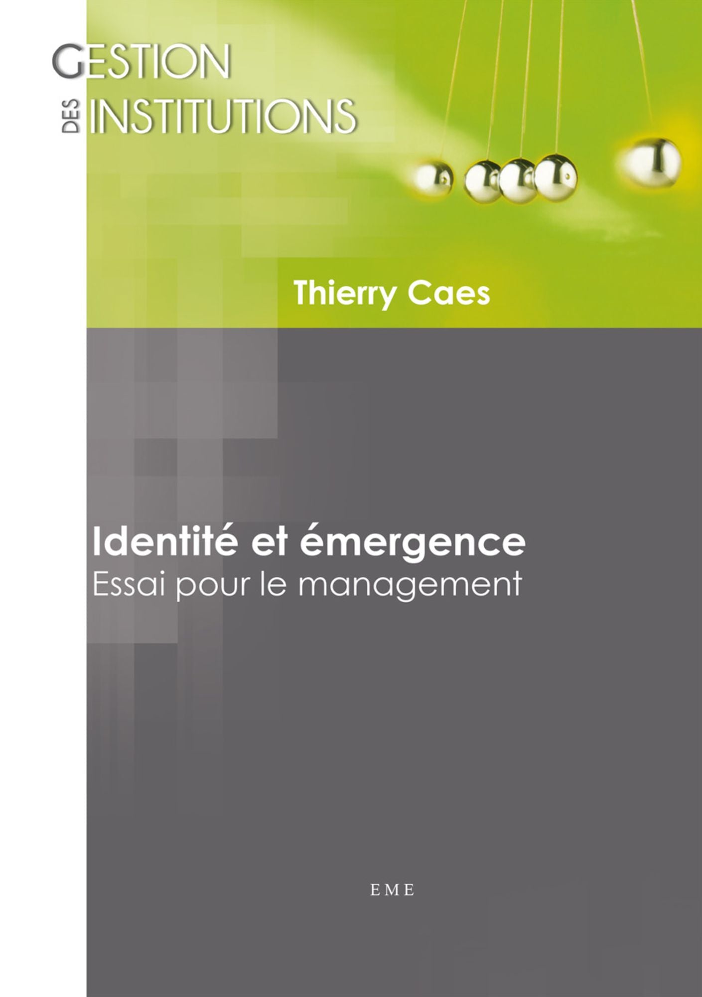 Identité et émergence: Essai pour le management