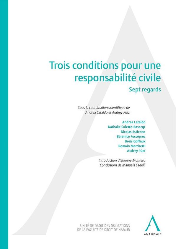 Trois conditions pour une responsabilité civile: Sept regards